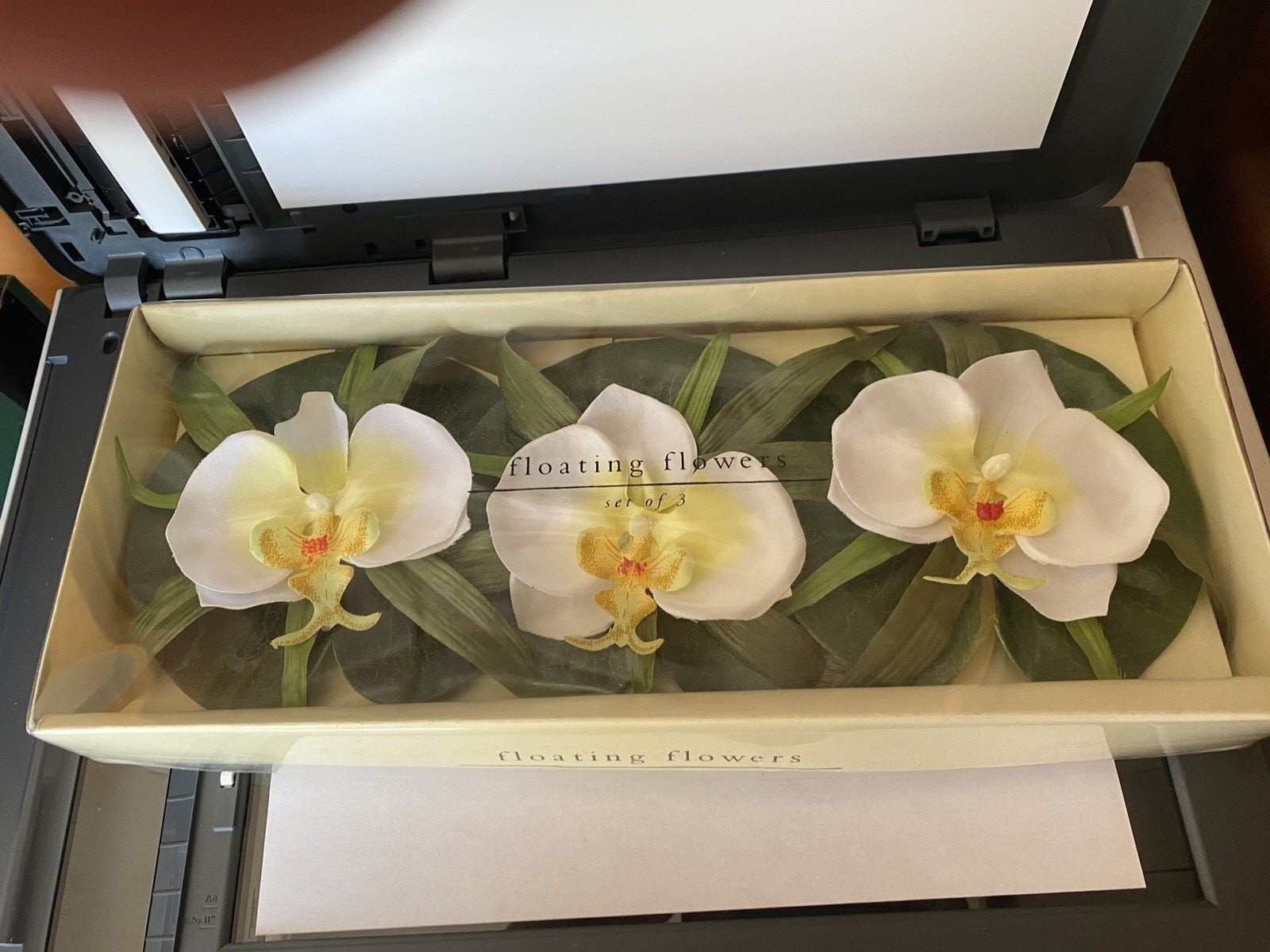 Pier One Set of 3 Floating Flowers Brand NEW In Box