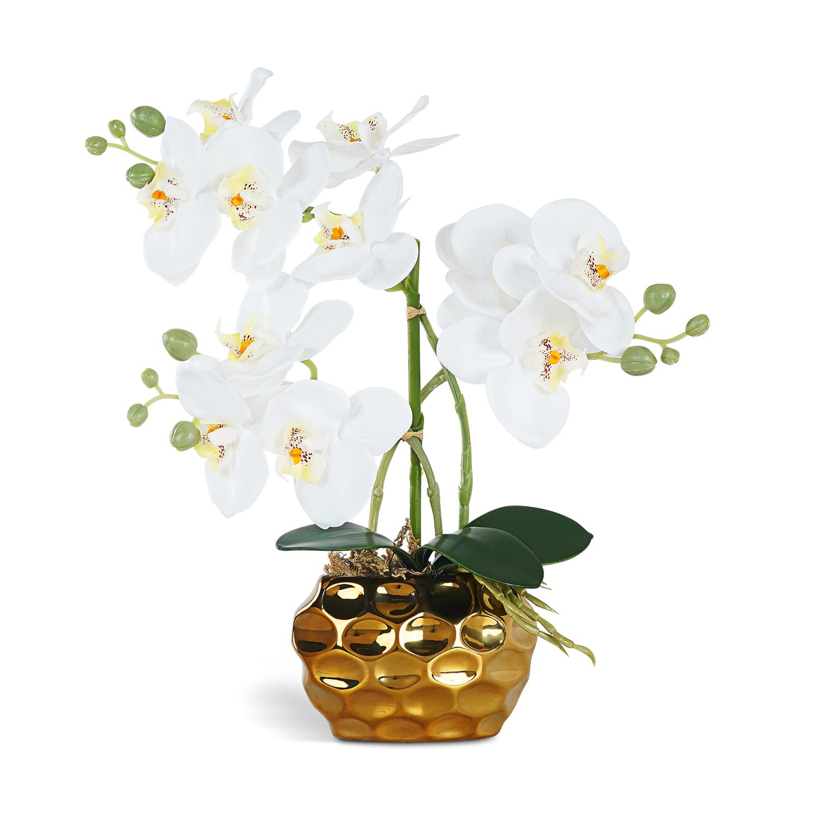 Artificial Orchid Flowers Plants Potted in Ceramic Pot, White Faux Phalaenop…