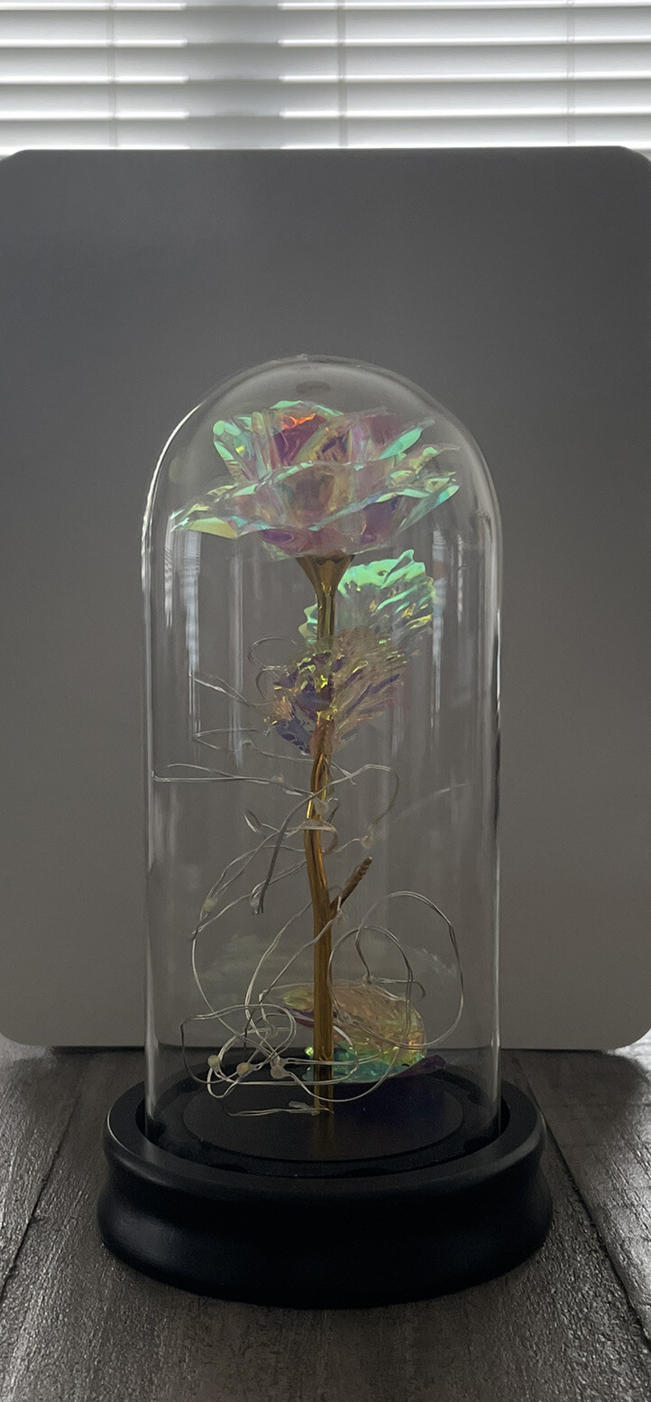Lamden Crystal Galaxy Rose Flower with Warm/Multicolor Led String Light Open Box