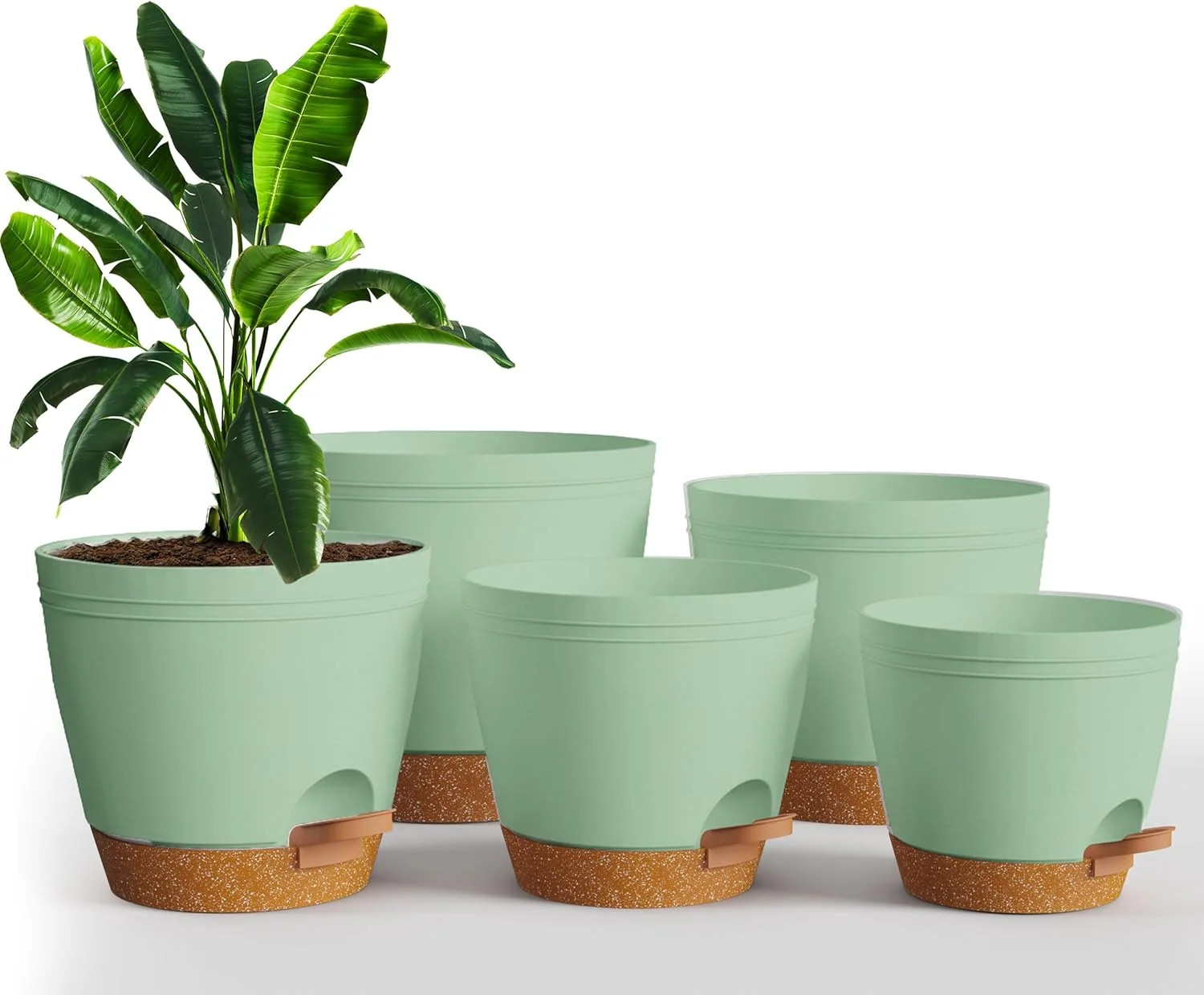 Utopia Home Self Watering Pots for Indoor Plants, Planters for Indoor Plants, Mu
