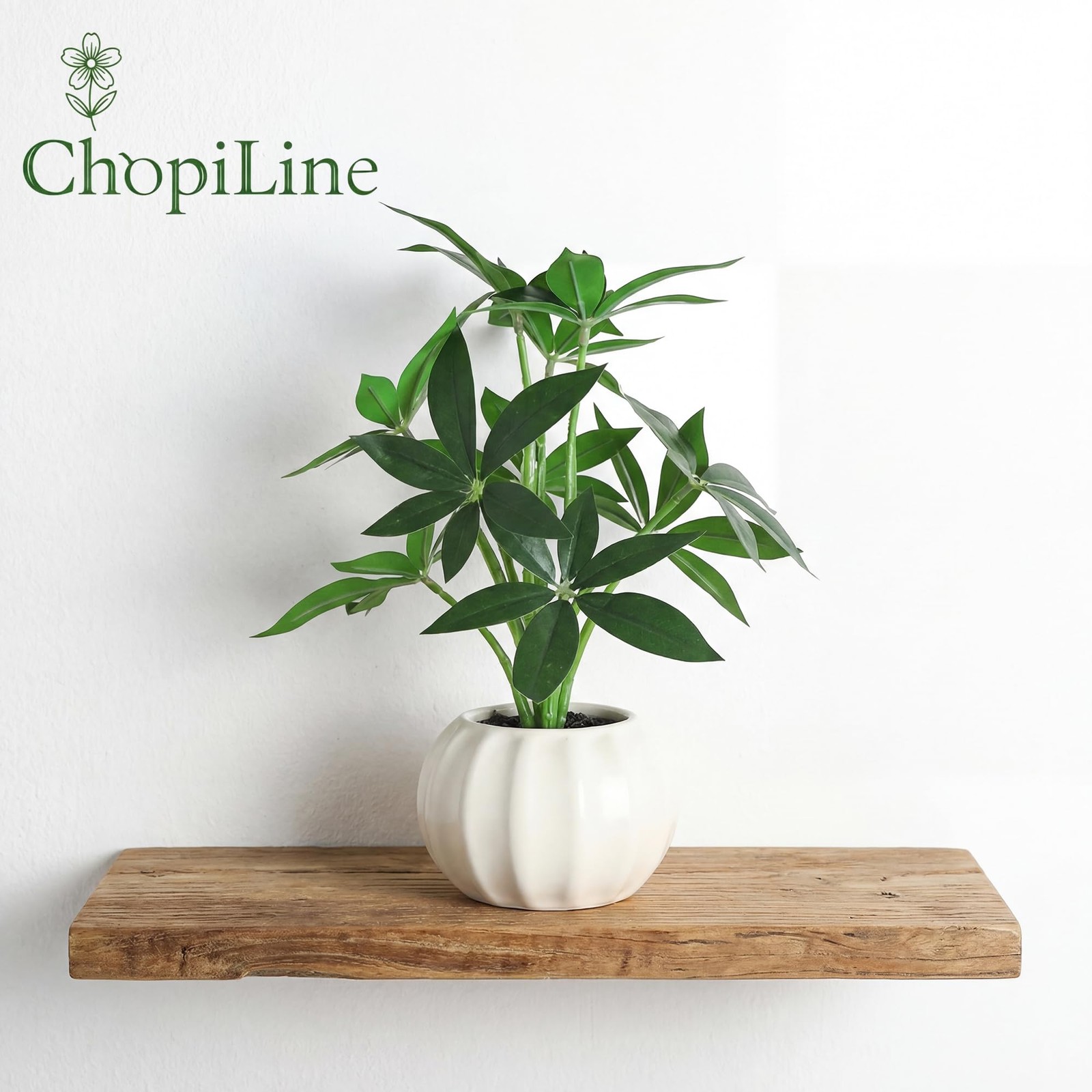 Artificial Plants Stems with Vase, 9.1” Fake Plants for Home Decor, Coffee Ta…