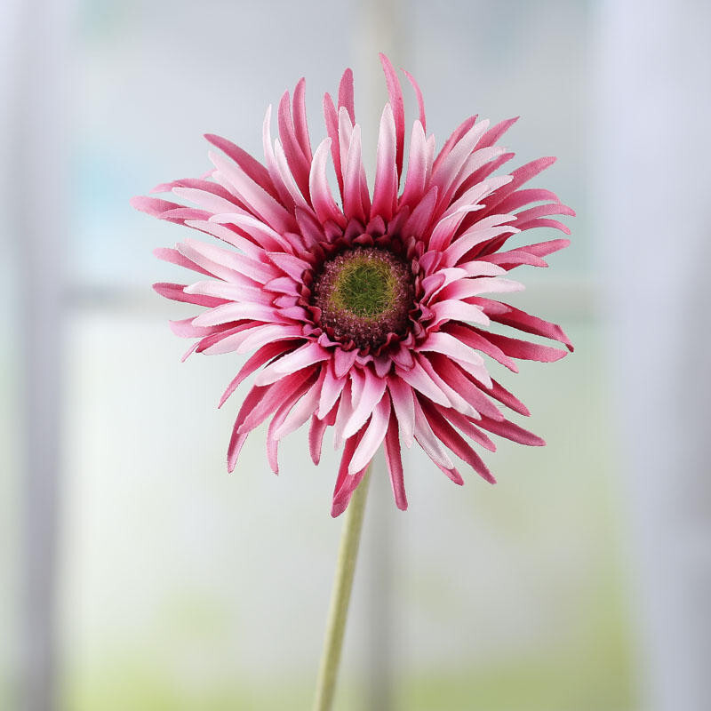 Package of 6 Pink Artificial Gerbera Spider Daisy 25″ Stems