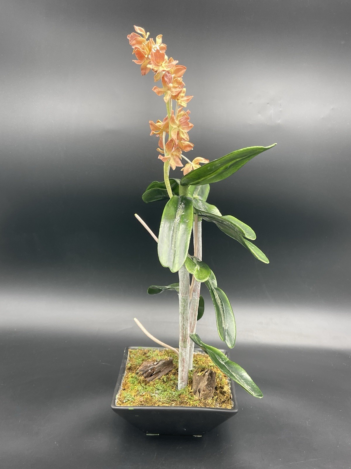 19″ Faux Orange Orchid Green Leaves Roots in Black Ceramic Pot