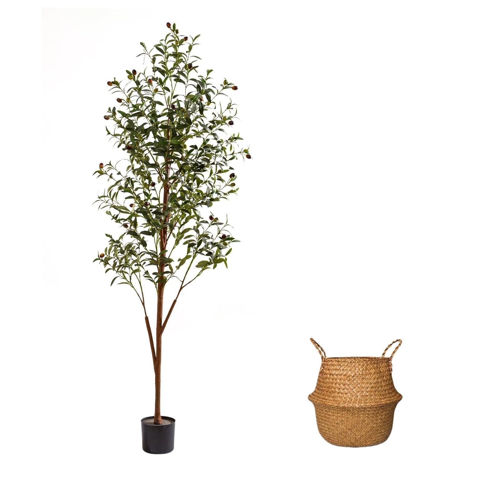 6Ft Artificial Olive Tree with Moss & Basket – Indoor Tall Faux Olive Tree in…