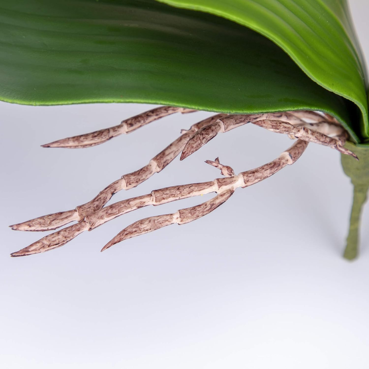 Faux Orchid Leaves Artificial Phalaenopsis Leaf Bulk 10 Inches 2Pcs Real Touch L