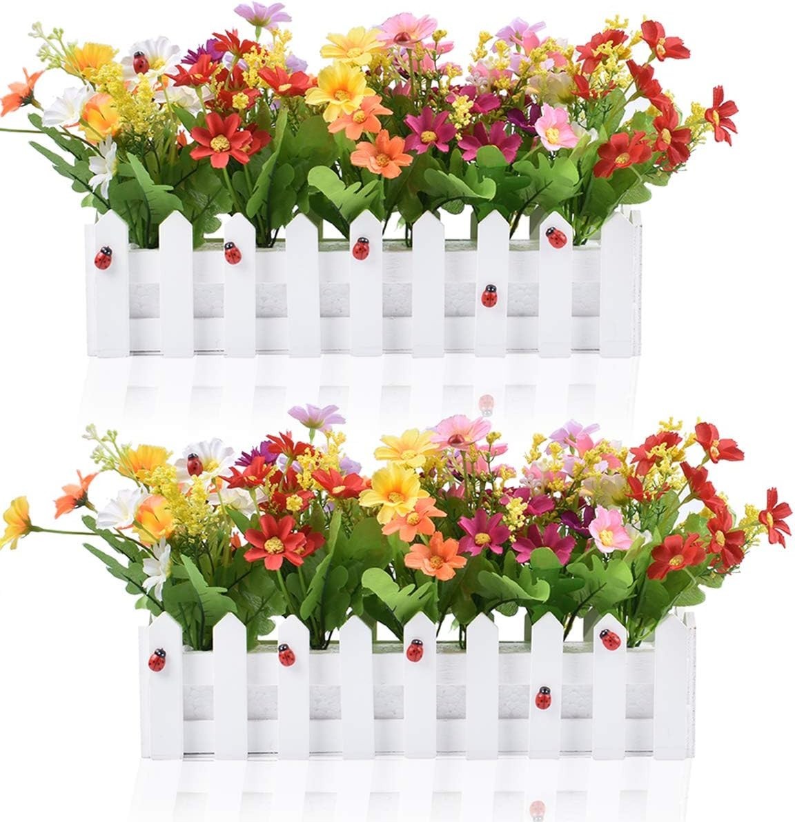Charming Mixed Color Daisy Plants in Fence Pots for Home and Wedding Decor