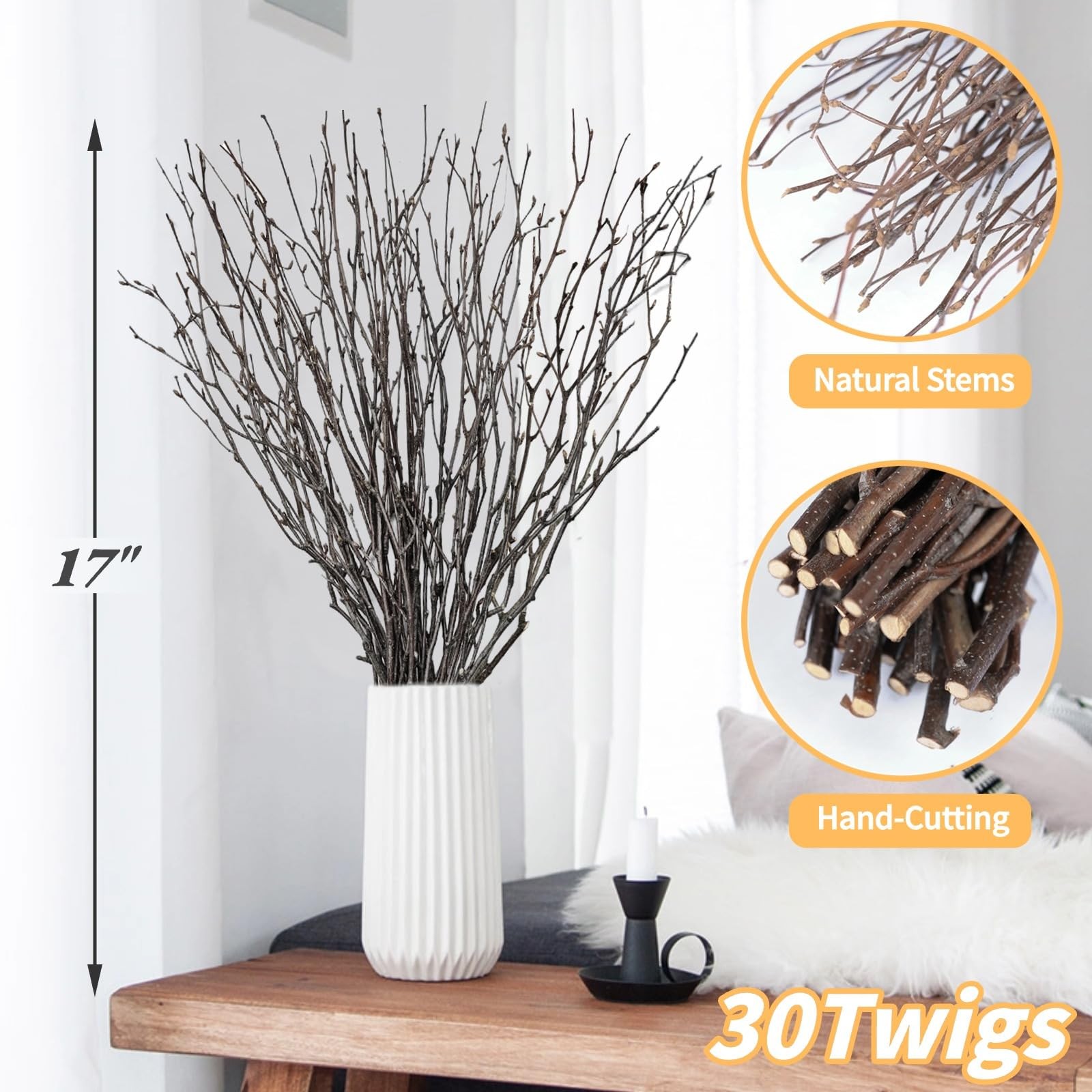 30Pcs Real Dried Birch Twigs – 16” Decorative 100% Natural Birch Branches | East