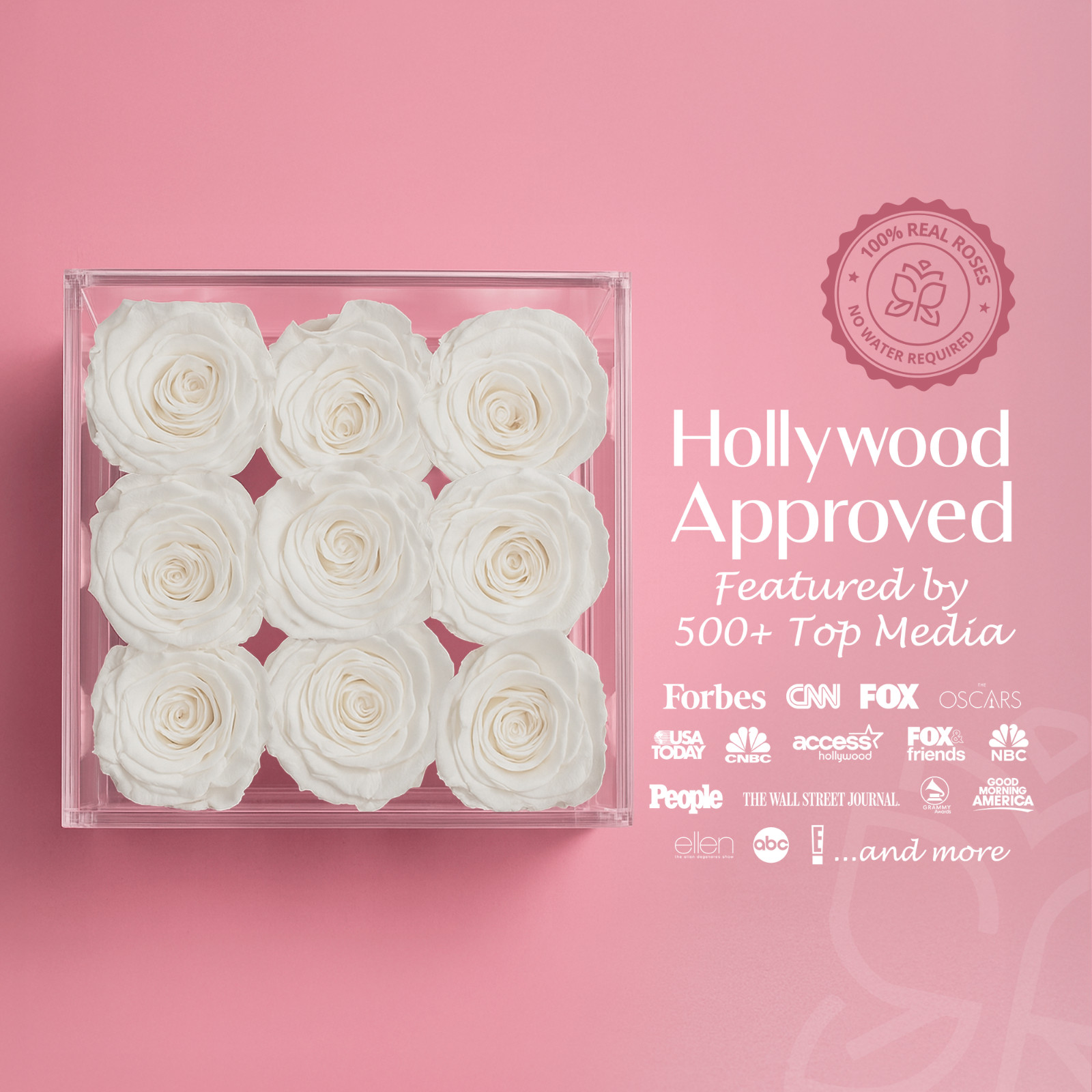 Speaking Roses Luxury Preserved Rose Arrangement in Luxara Nue Display | 9 Roses