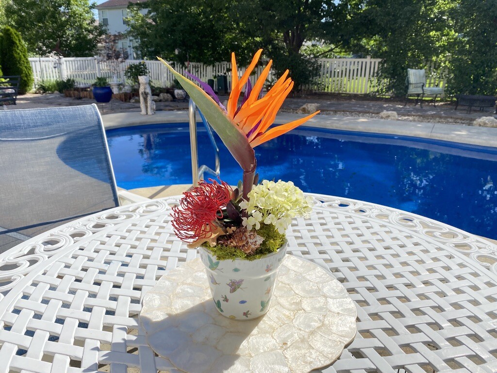 Decorative Planter with Dragon Flowers and Tropical Flowers in Butterfly Pot