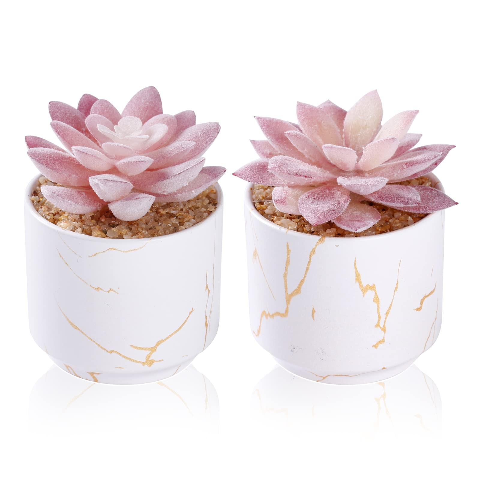 Artificial Plants and Succulents in 2 White Ceramic Pots,Small Fake Plants fo…