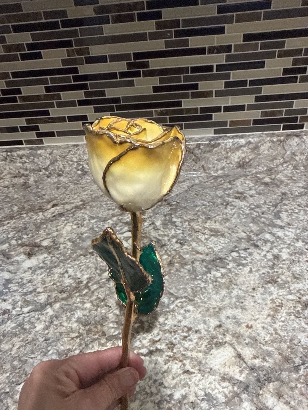 24K Gold Dipped Cream and Yellow Lacquered Real Long Stem Rose
