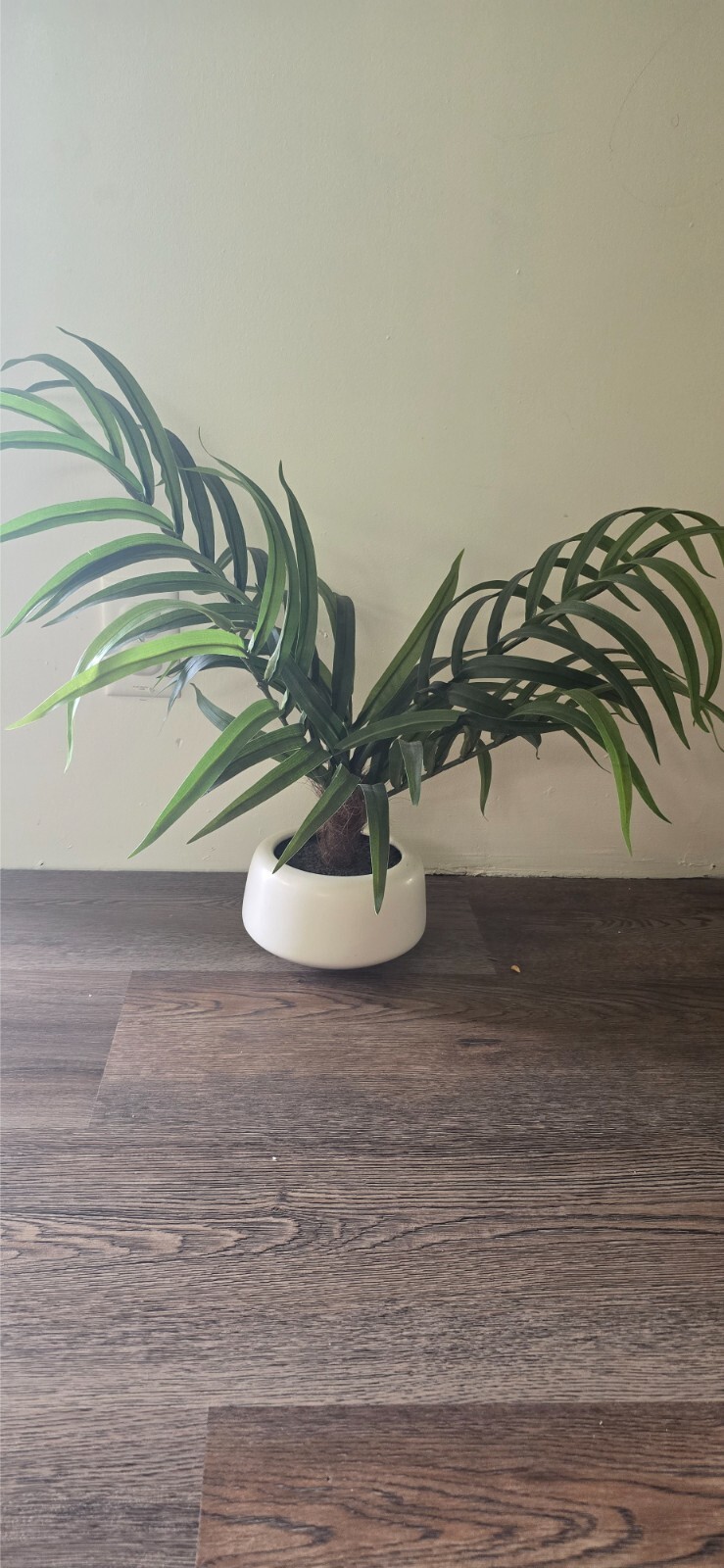 Faux Indoor Plants