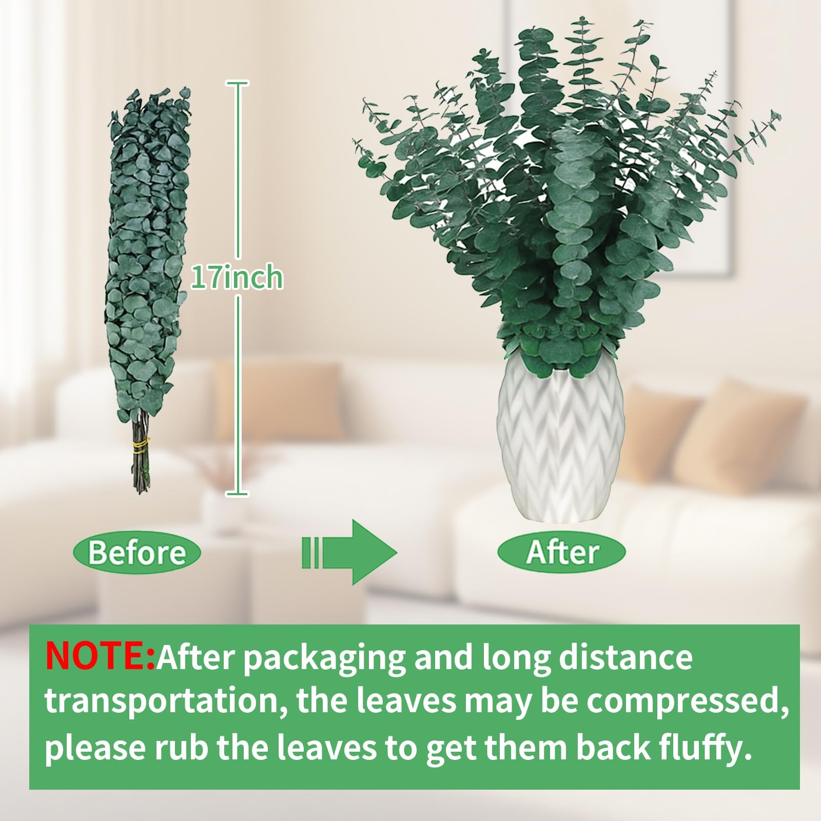 12PCS Dried Eucalyptus Bundle 17” Real Eucalyptus Stems 100% Natural Fresh L…