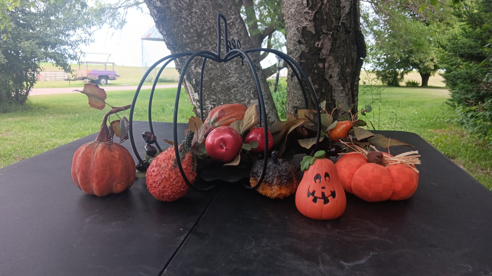 Artificial Pumpkin Apple Centerpiece in Black Metal Frame Halloween 12×24″