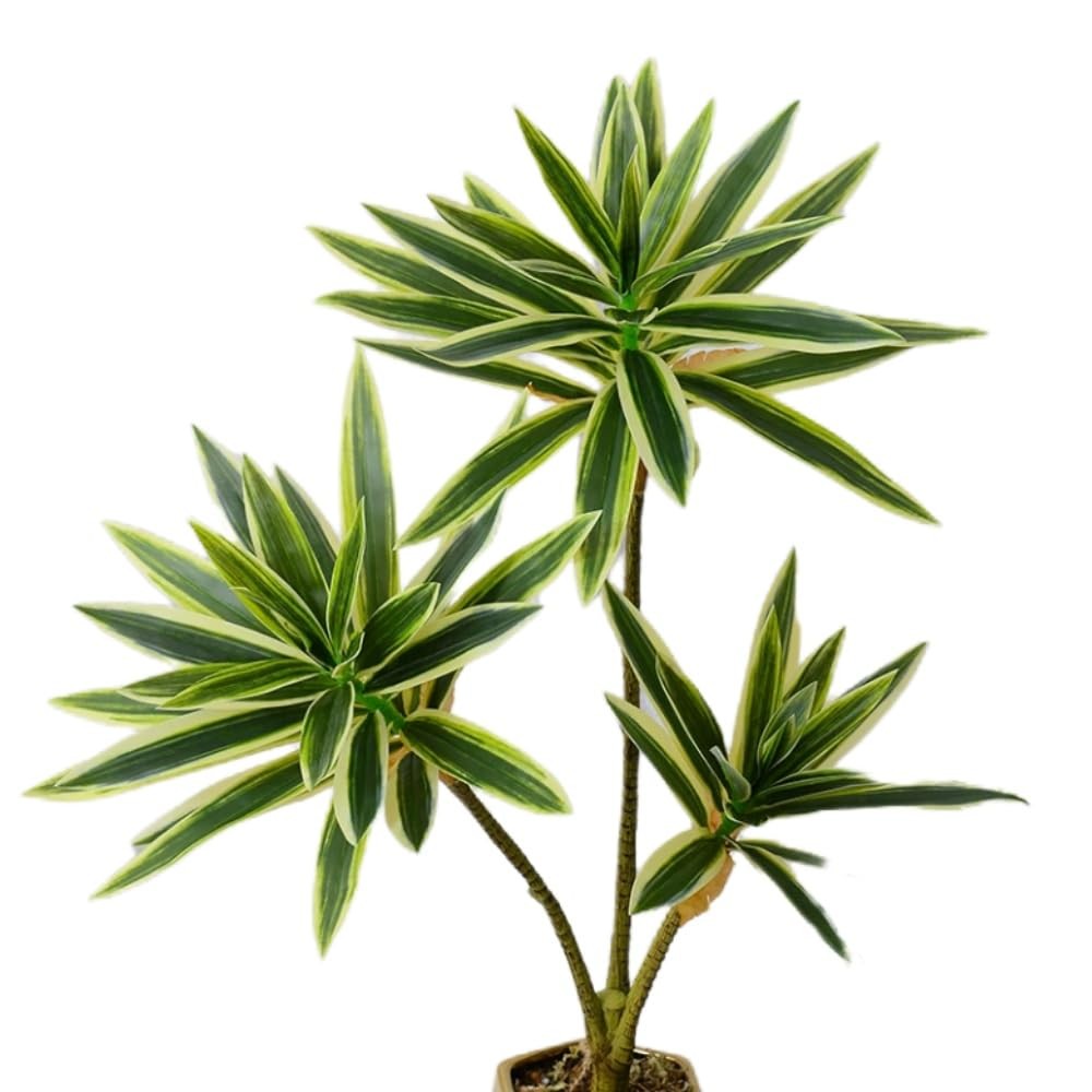 Artificial Dracaena Plant,Fake Plants,60 cm Tall Tropical Dracaena Tree,Artif…