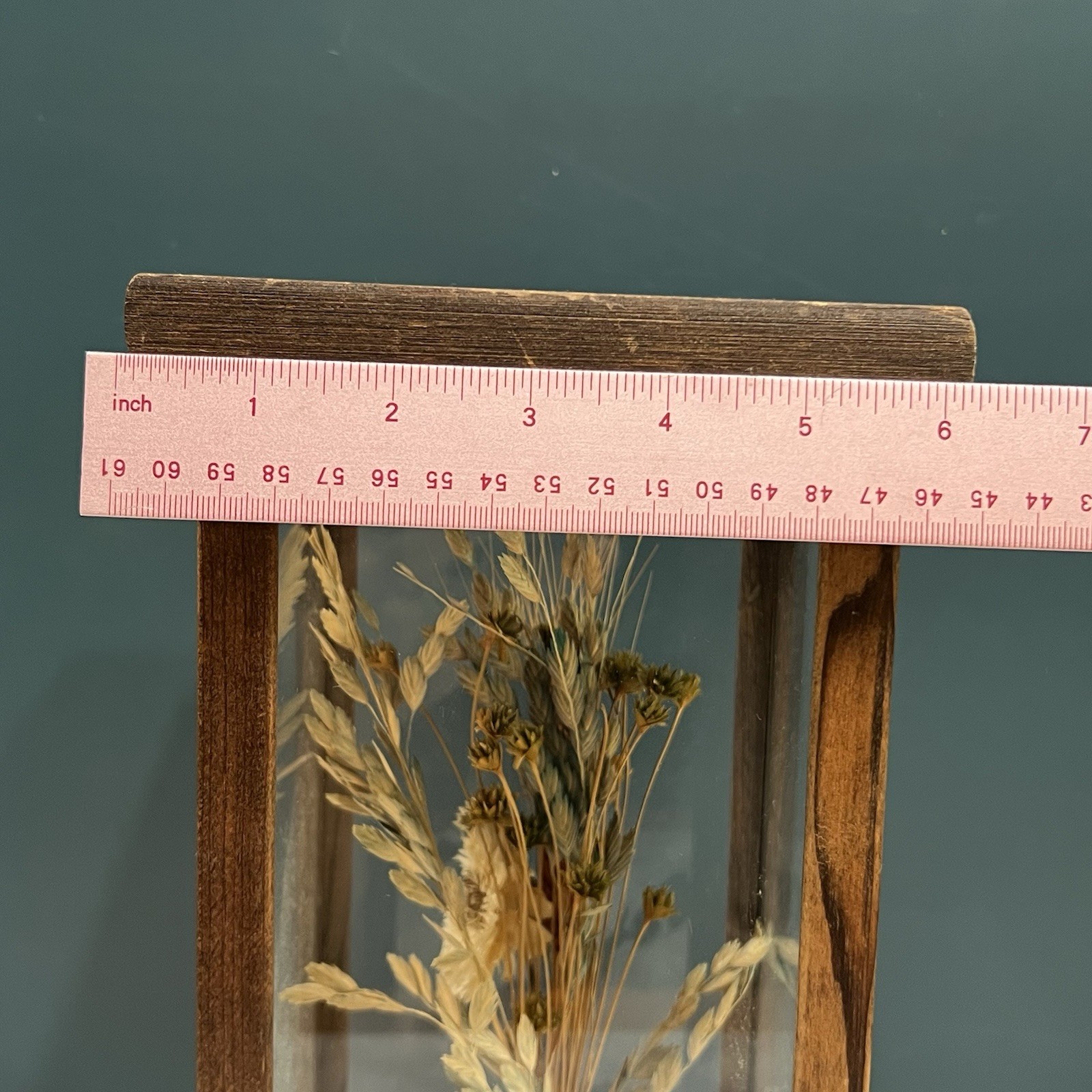 Vintage 1970s Dried Flower & Botanical Wood Terrarium Display Case Boho MCM