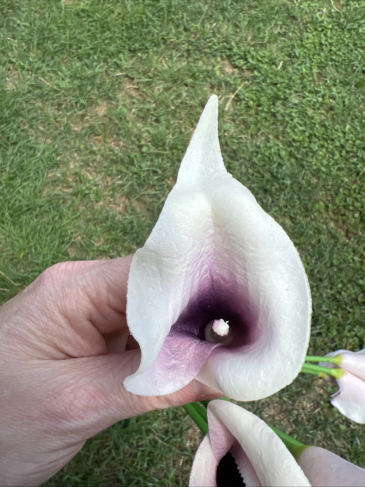 20PCS Artificial Fake Calla Lily Flowers Real Touch Calla Lily