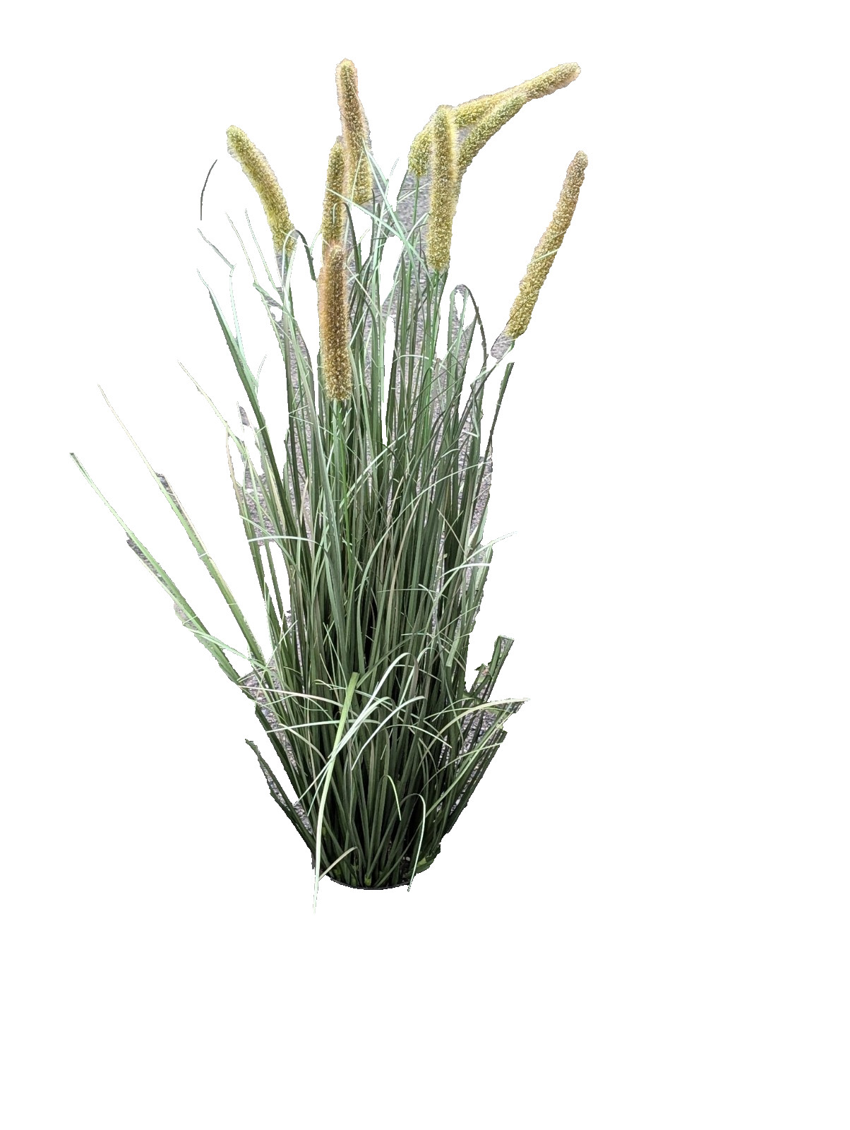 Artificial Grass Plant, 2 Pack 47 inch Horsetail Reed Grass in Pot