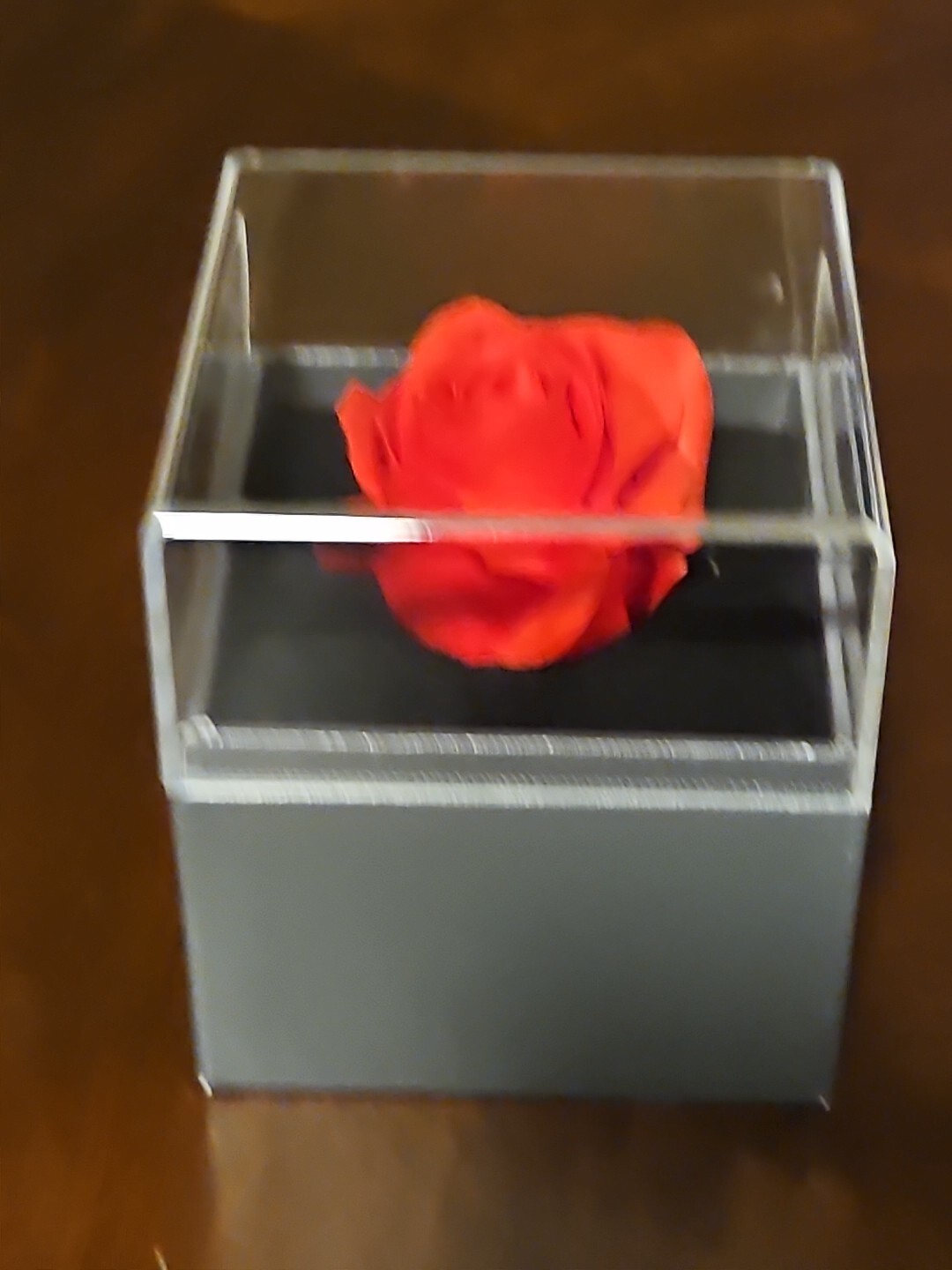 Preserved Rose Flowers In Box ” BEST WISHES A friend Is A Loving Companion…..