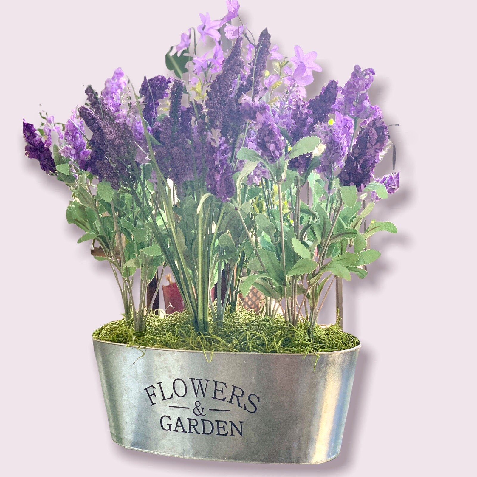 Flower Arrangement Lavender Flowers for Garden and Home Decoration CP00123