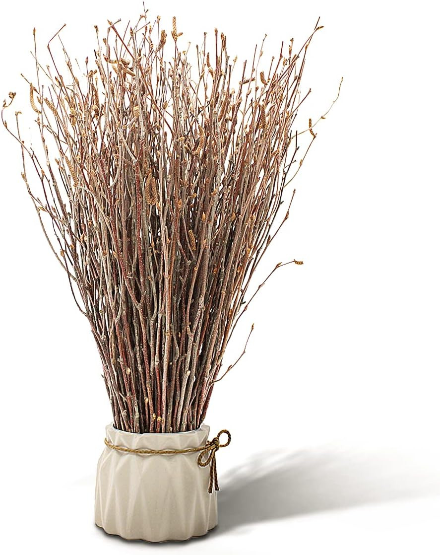 200pcs Birch Twigs 100% Natural Birch Branches for Decorating DIY Crafts Flow…