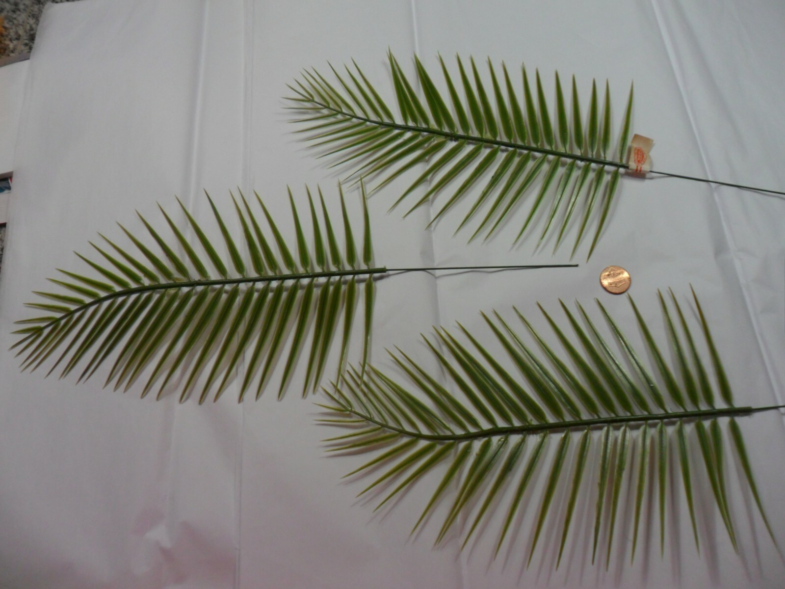 Vintage Plastic Green Palm Fern Stems – Set of 3