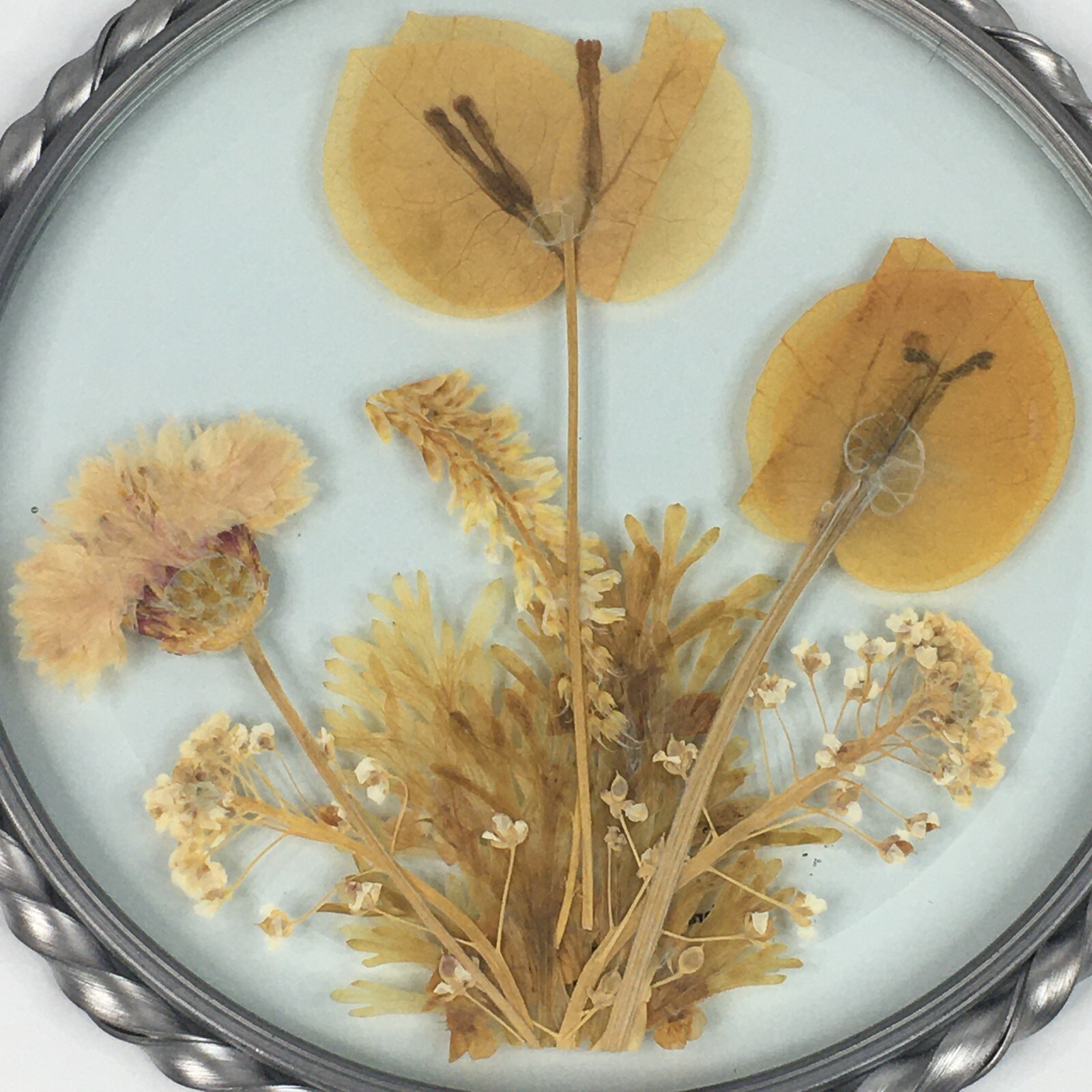 Lasting Impressions Real Flowers Glass Wall Hanging Pressed Flowers USA Floral