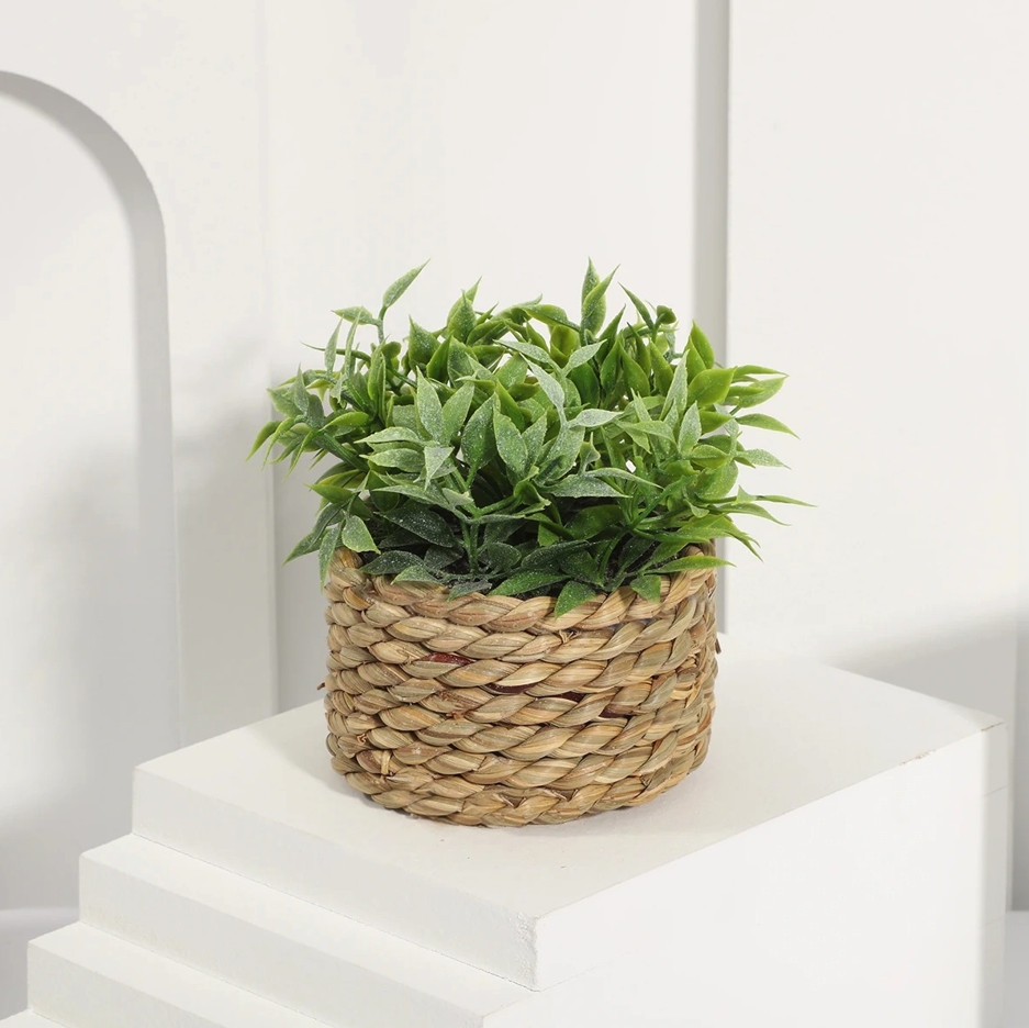 1pc Artificial Eucalyptus Grass Small Potted Plant 11cm Home Decor – NEW