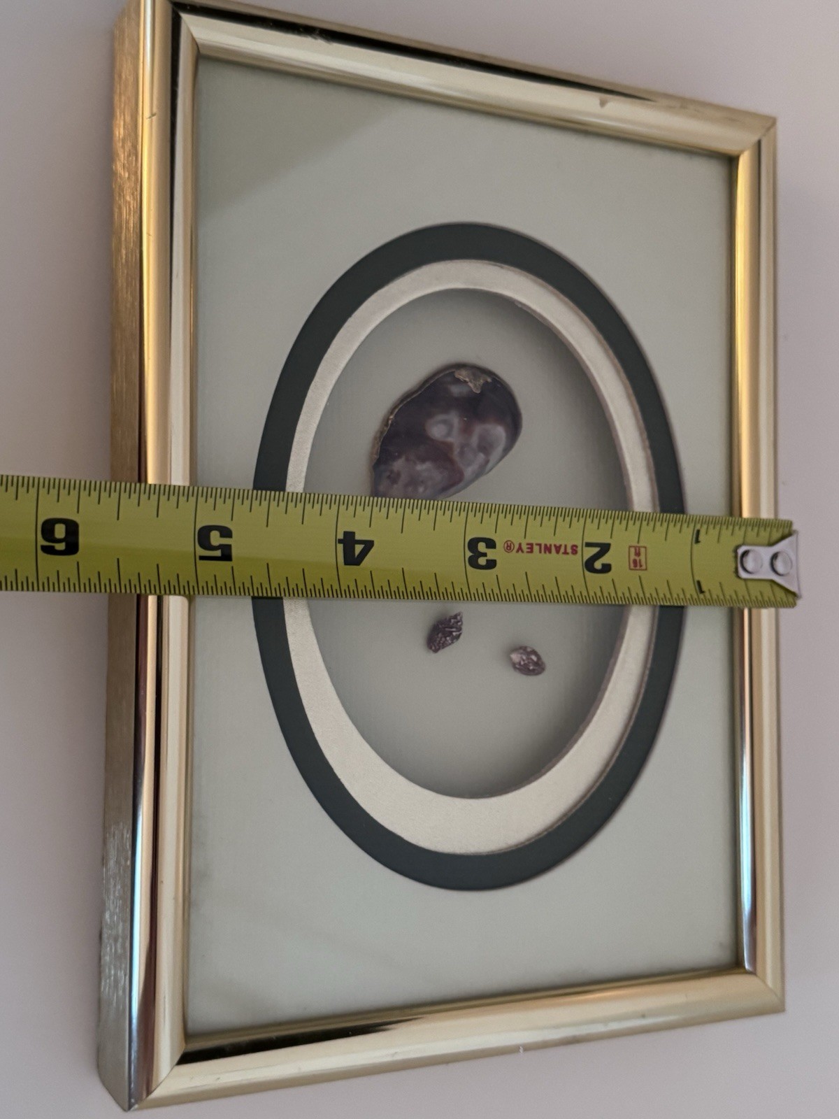 Vintage M&R Original Framed Shell Art Shadow Box Skokie IL Mid Century Coastal