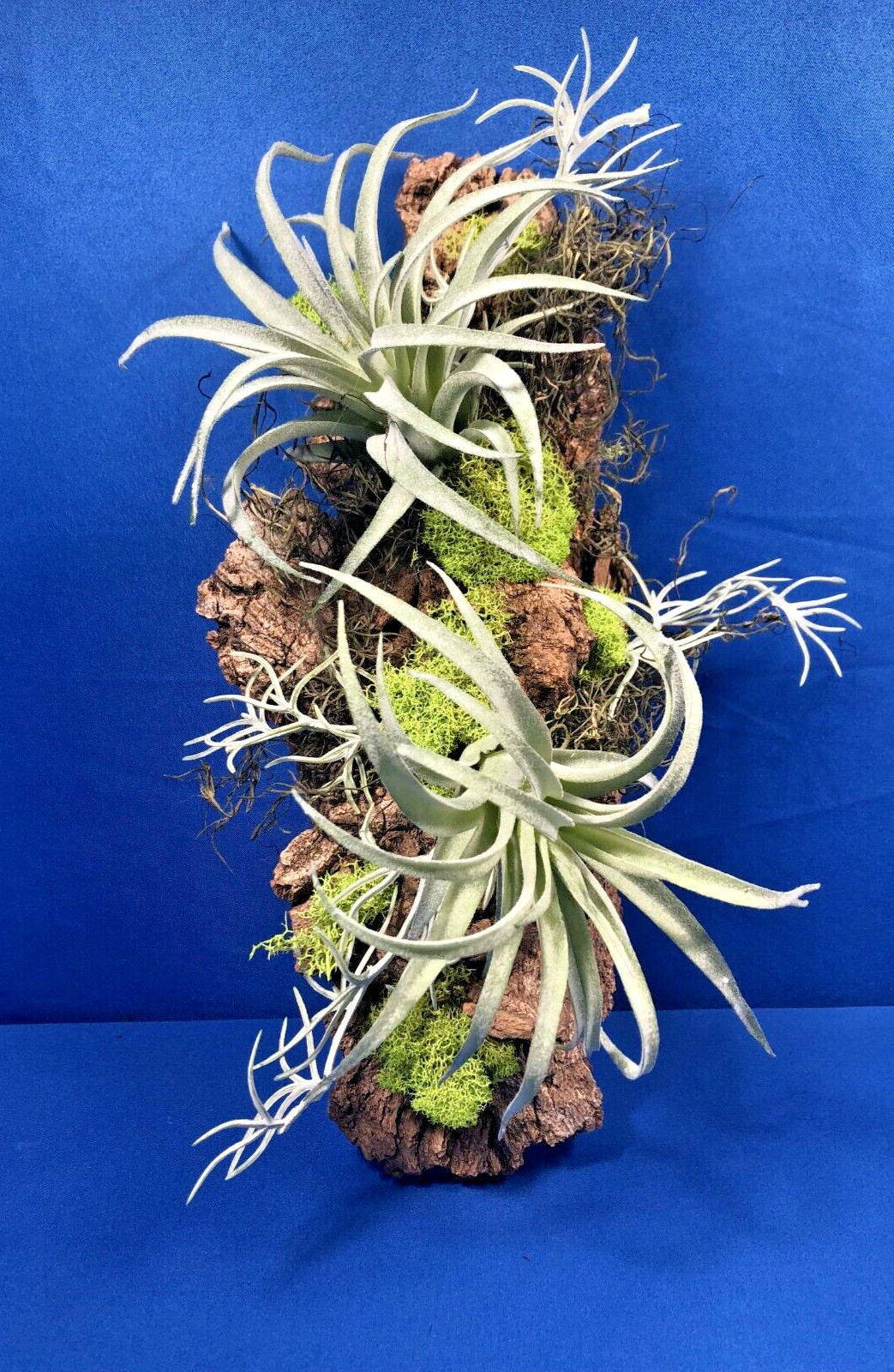 Artificial Succulent Air Plant Wall Art Home Office Mounted on Real Wood Bark