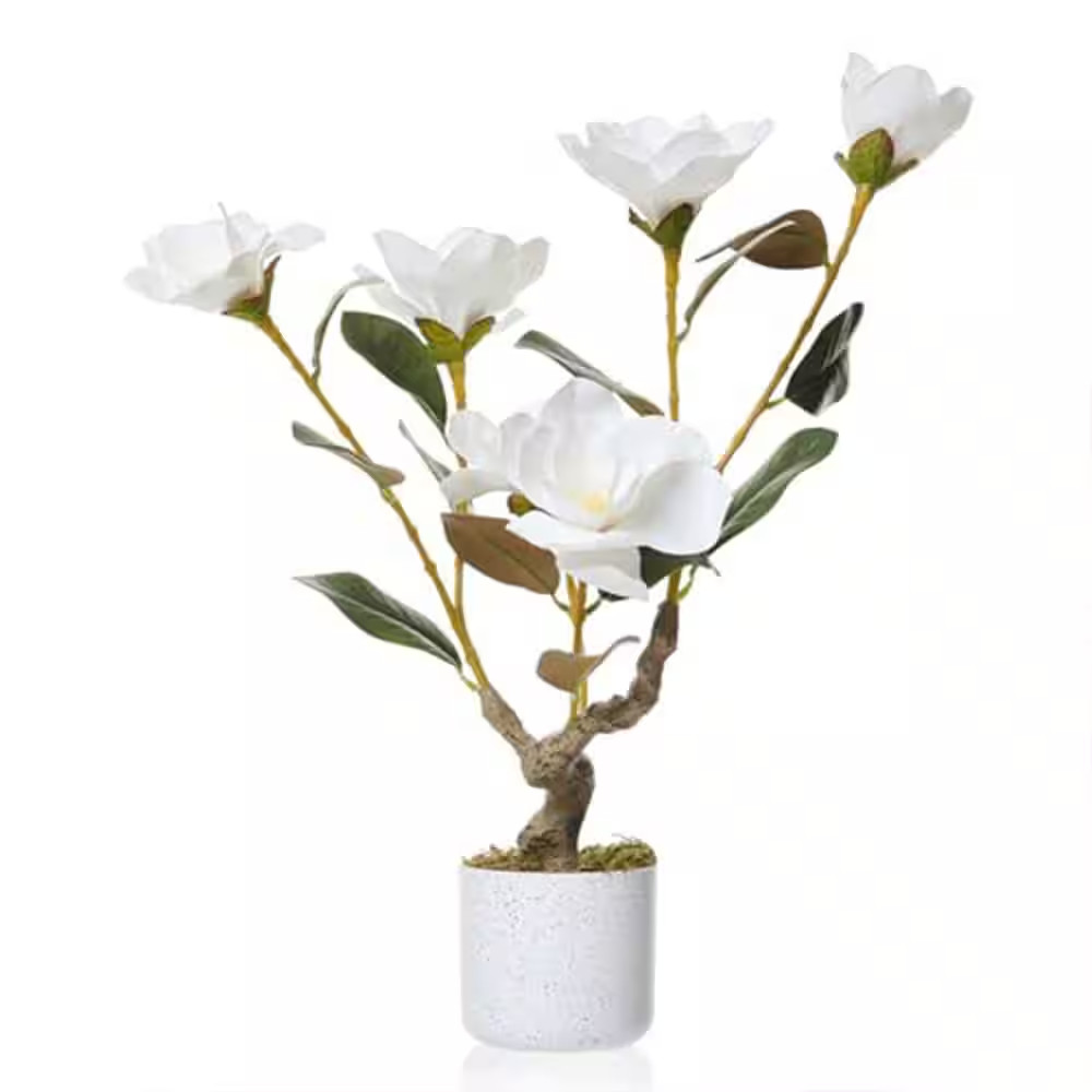 23.6 In. 2-Pack Artificial Magnolia and Orchid Plants,Realistic White Faux Flowe