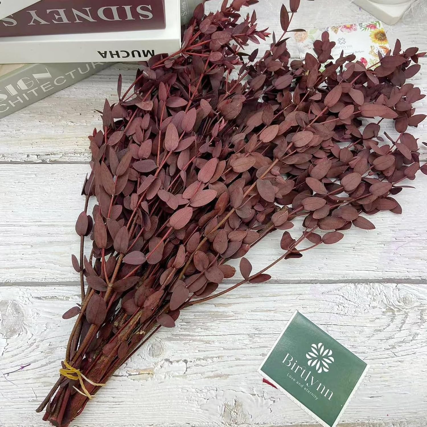 Preserved Dried Eucalyptus Greenery Stems, 20+ Pcs 16 inches Natural Long Las…