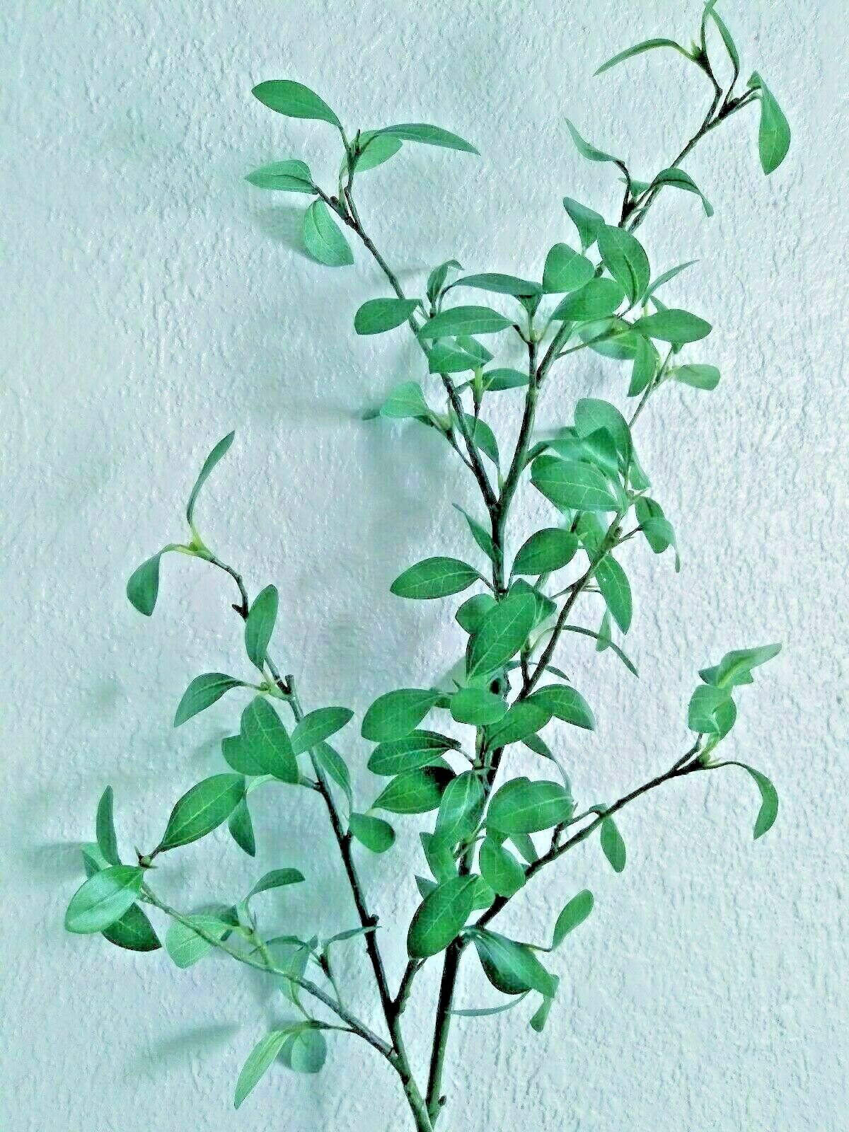 41″ Privet stem Branches line material. Silk Flower Floral Arrangements