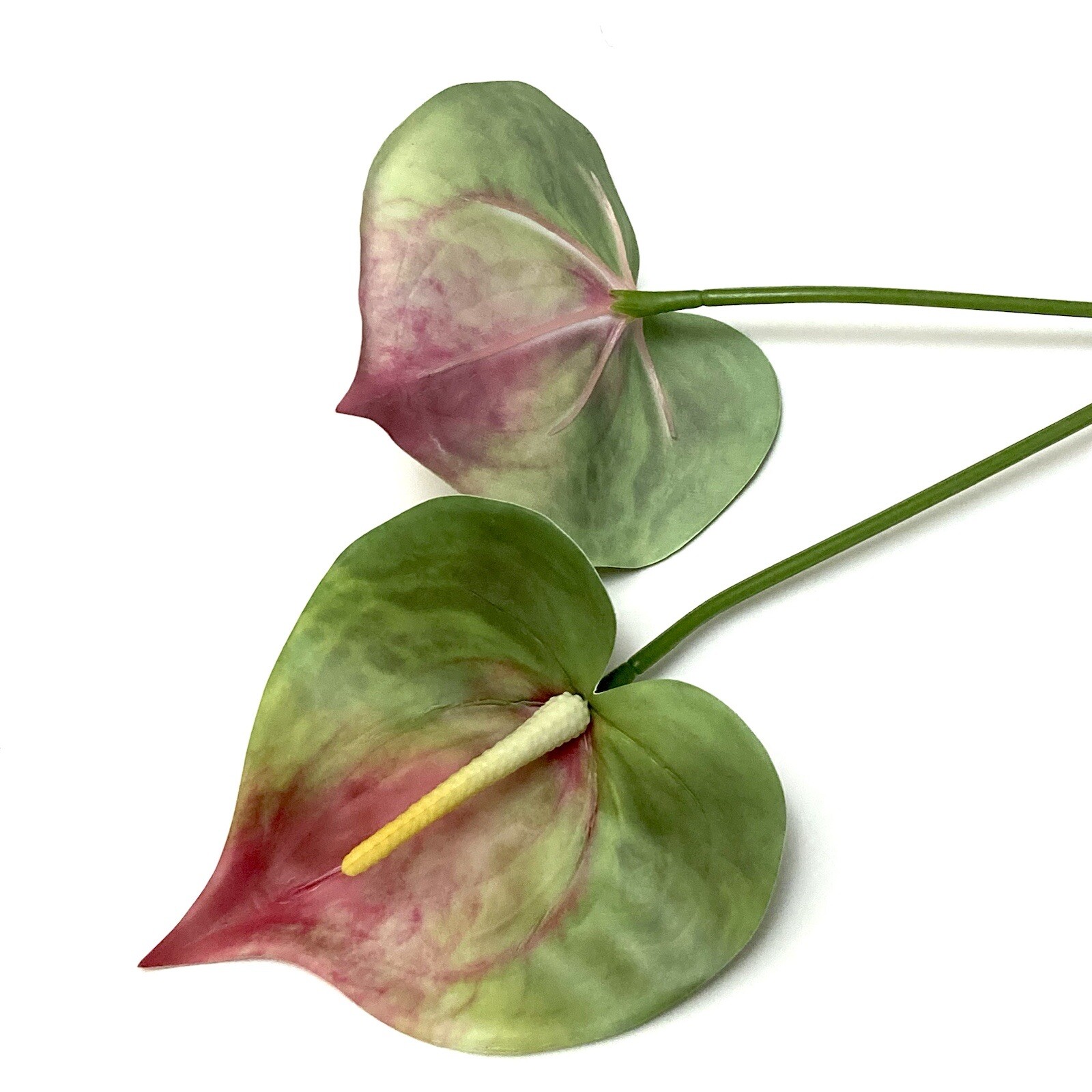 6 Realistic 25″ GREEN PINK Anthurium Stem Flower Floral Tropical Artificial Fake
