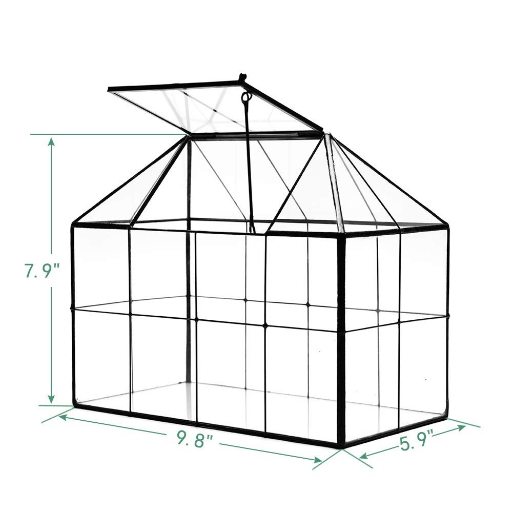 Large Glass Terrarium Planter – Succulent Greenhouse with Lid, 9.8″x7.9″x5.9