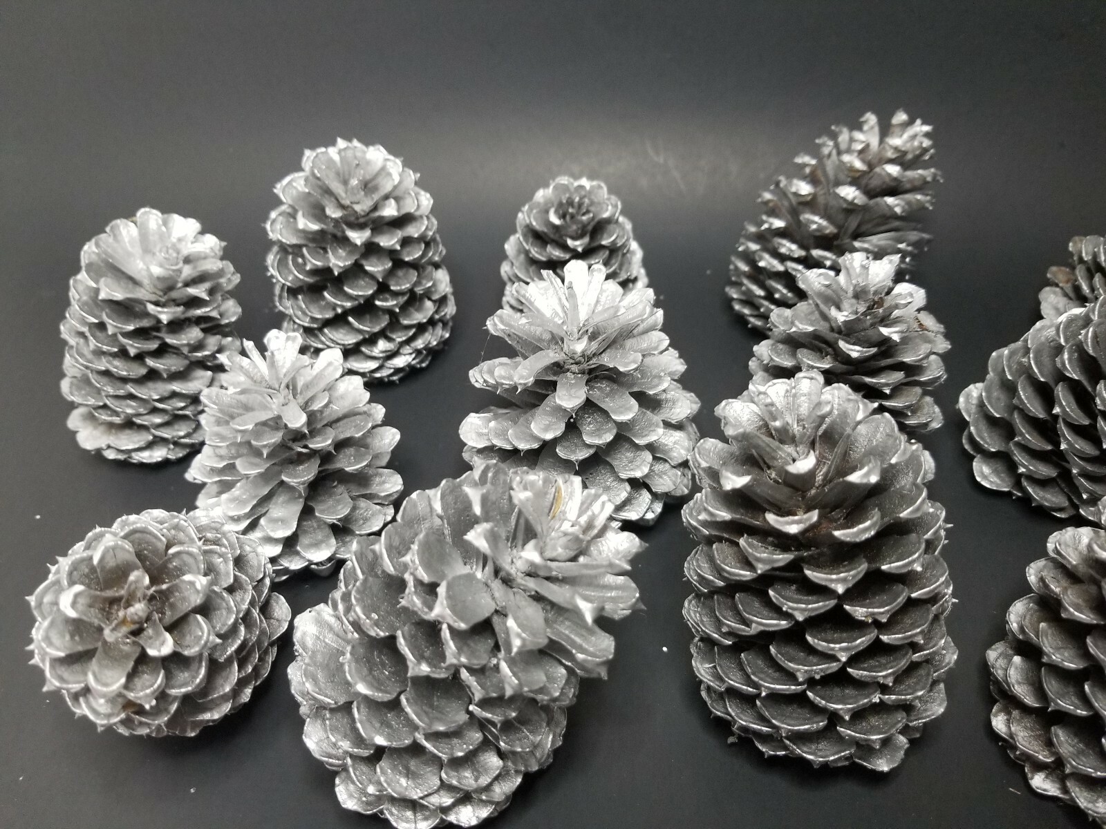 🎅15 Silver Pine Cones Hand Painted Natural Premium Ponderosa Cones