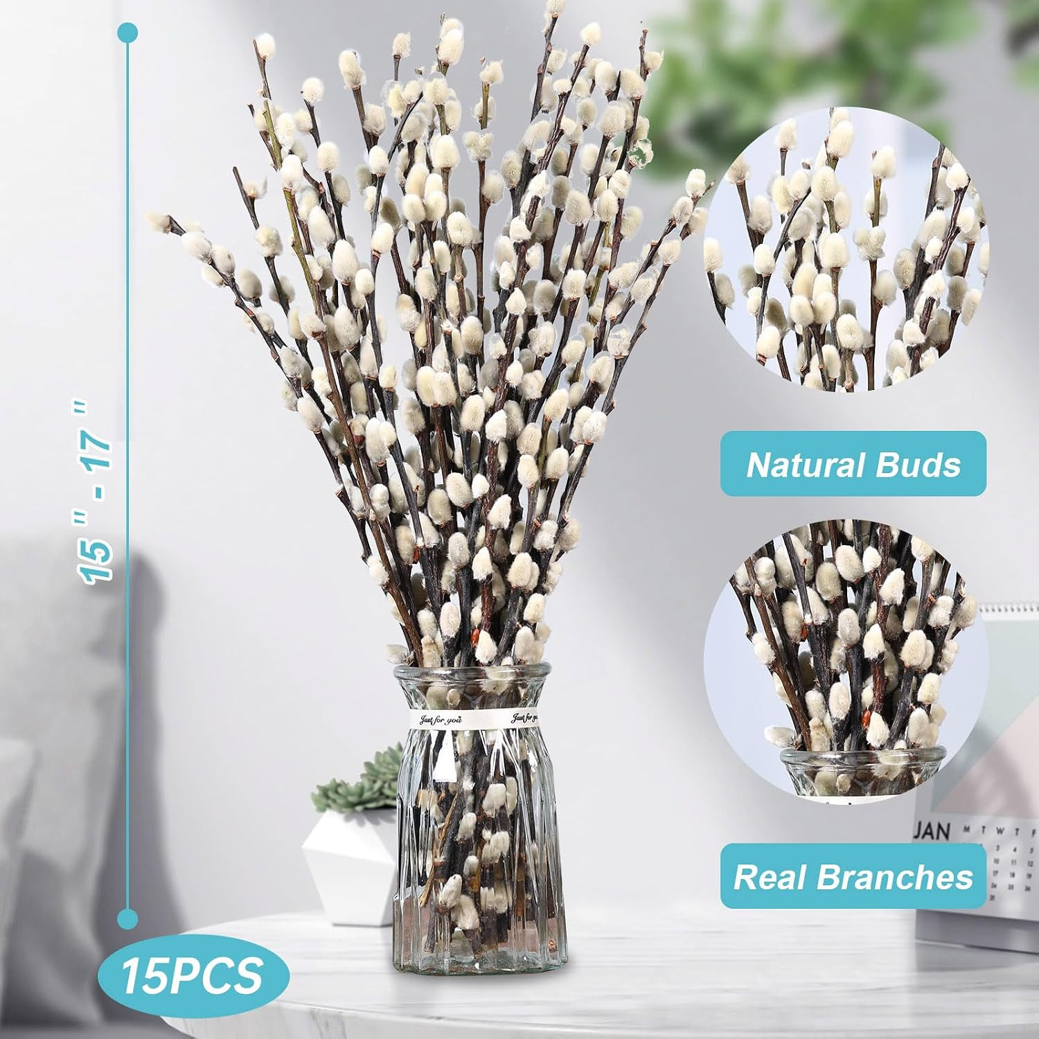 Natural Preserved Dried Pussywillow Branches for Vases, 15 Stems Real Willows, 1