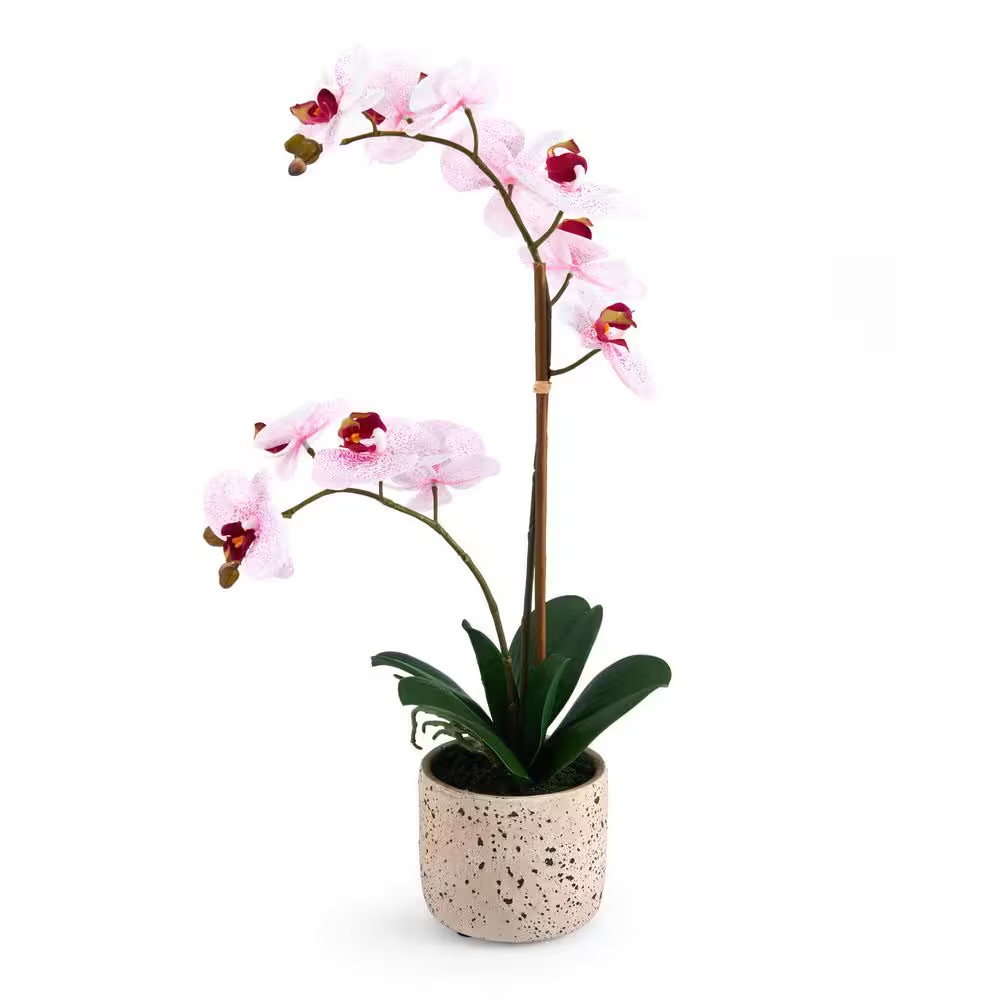 Real Touch 21- Inch-Pink Spotted- Artificial Phalaenopsis Orchid Flower in Pot