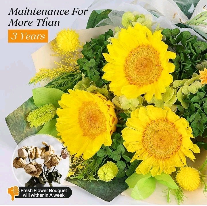 Preserved Sunflower Bouquet – Forever Flowers for Delivery, Long-Lasting Flower