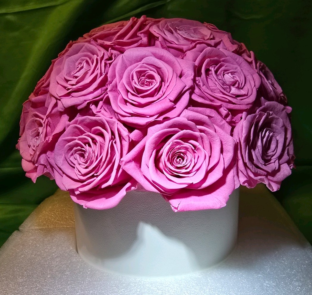 27 Preserved Pink Roses In White Vase, Preserved Flowers Dome Shaped