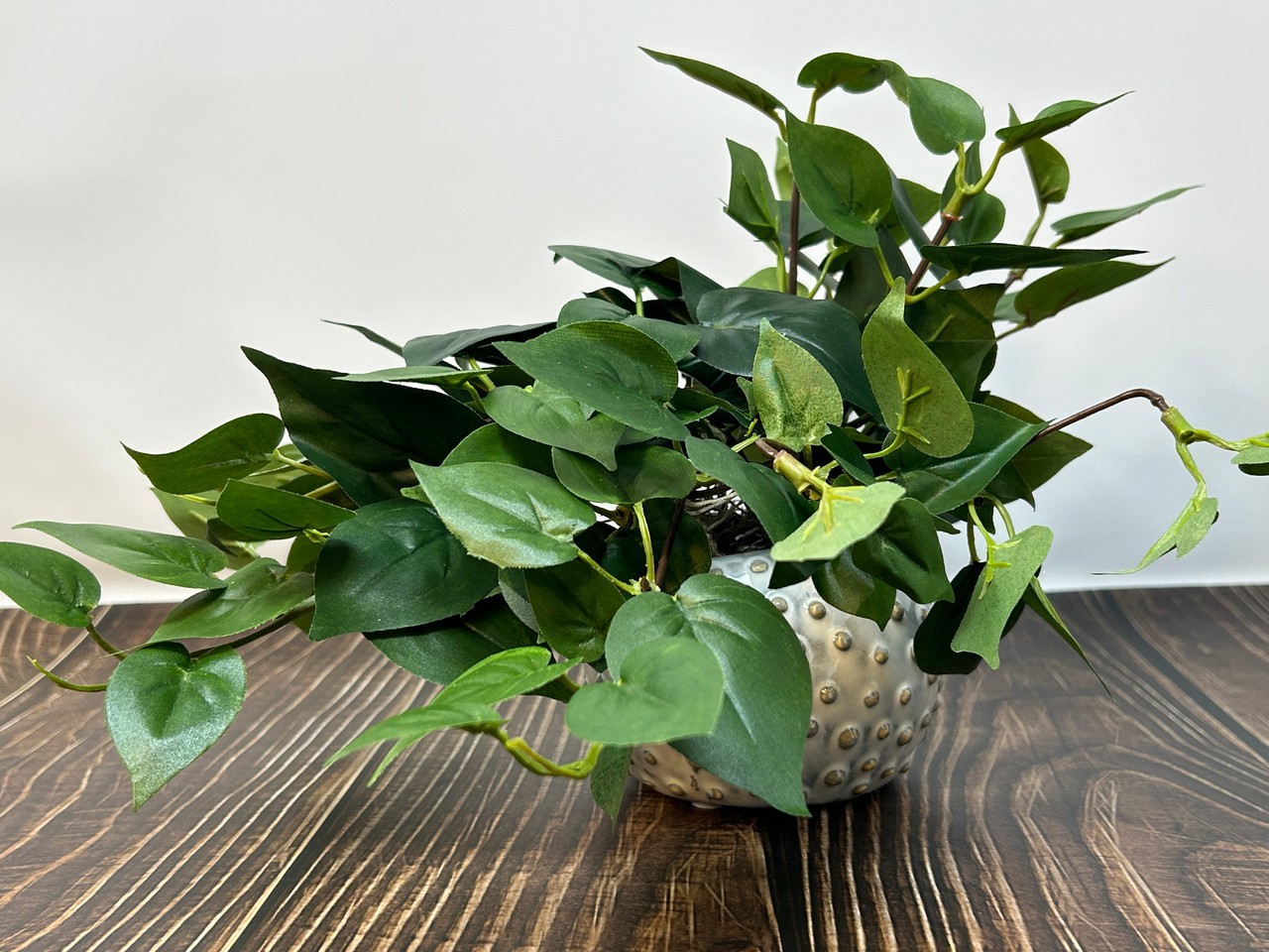8″ Potted faux GREEN POTHOS Vine Silk plant, Cream Dot Ceramic pot