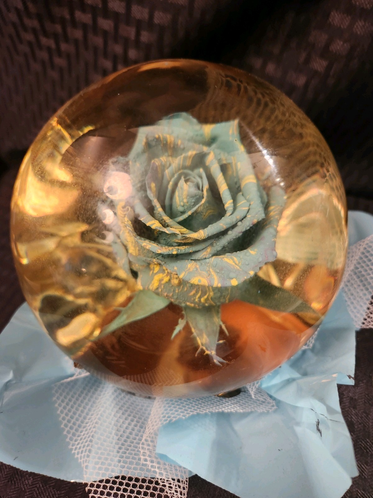 Krystal Rose’s Preserved Blue Rose In Glass