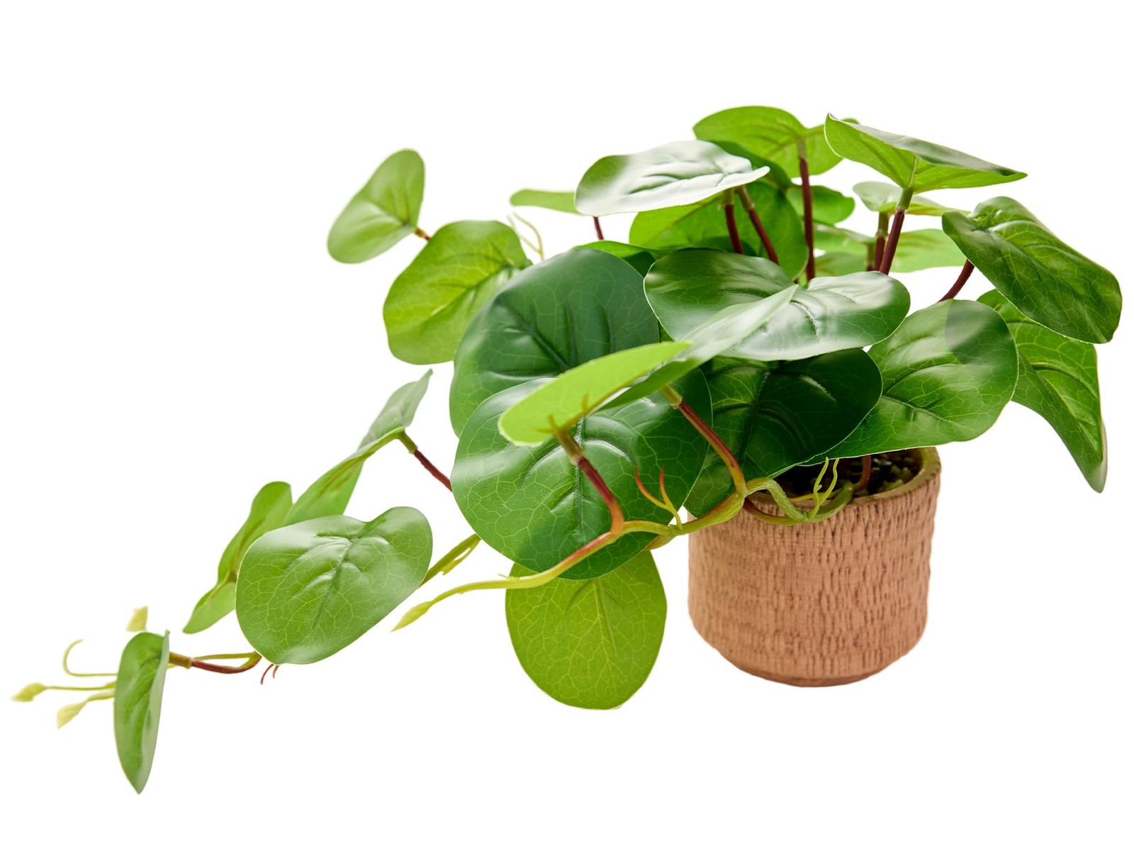 9” Artificial Hanging Plant with Round Leaves Trailing Faux Greenery in Tan …