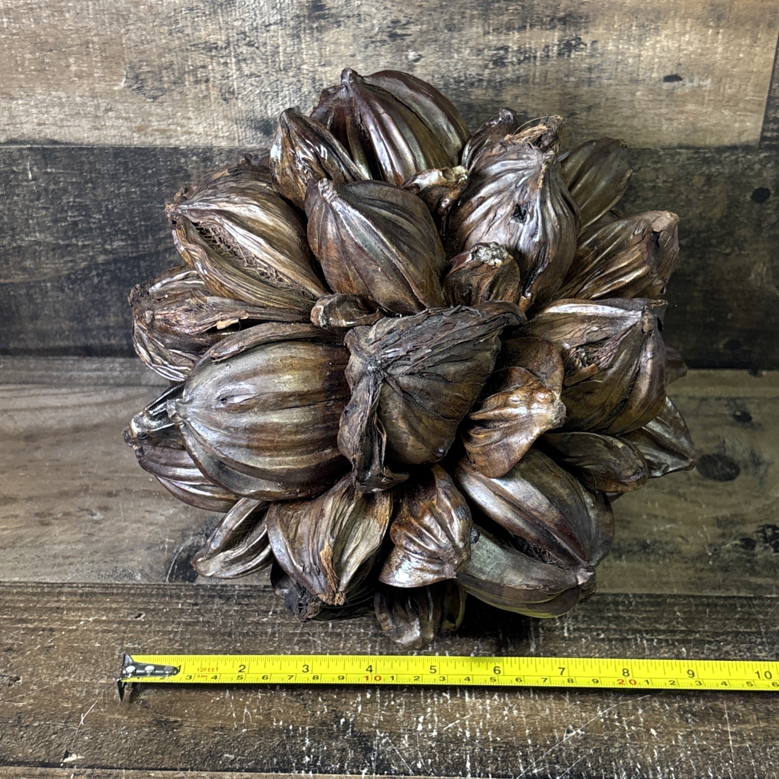 Vietnamese Water Coconut Nipa Palm Fruit Cluster Seed Pod Decor Decoration