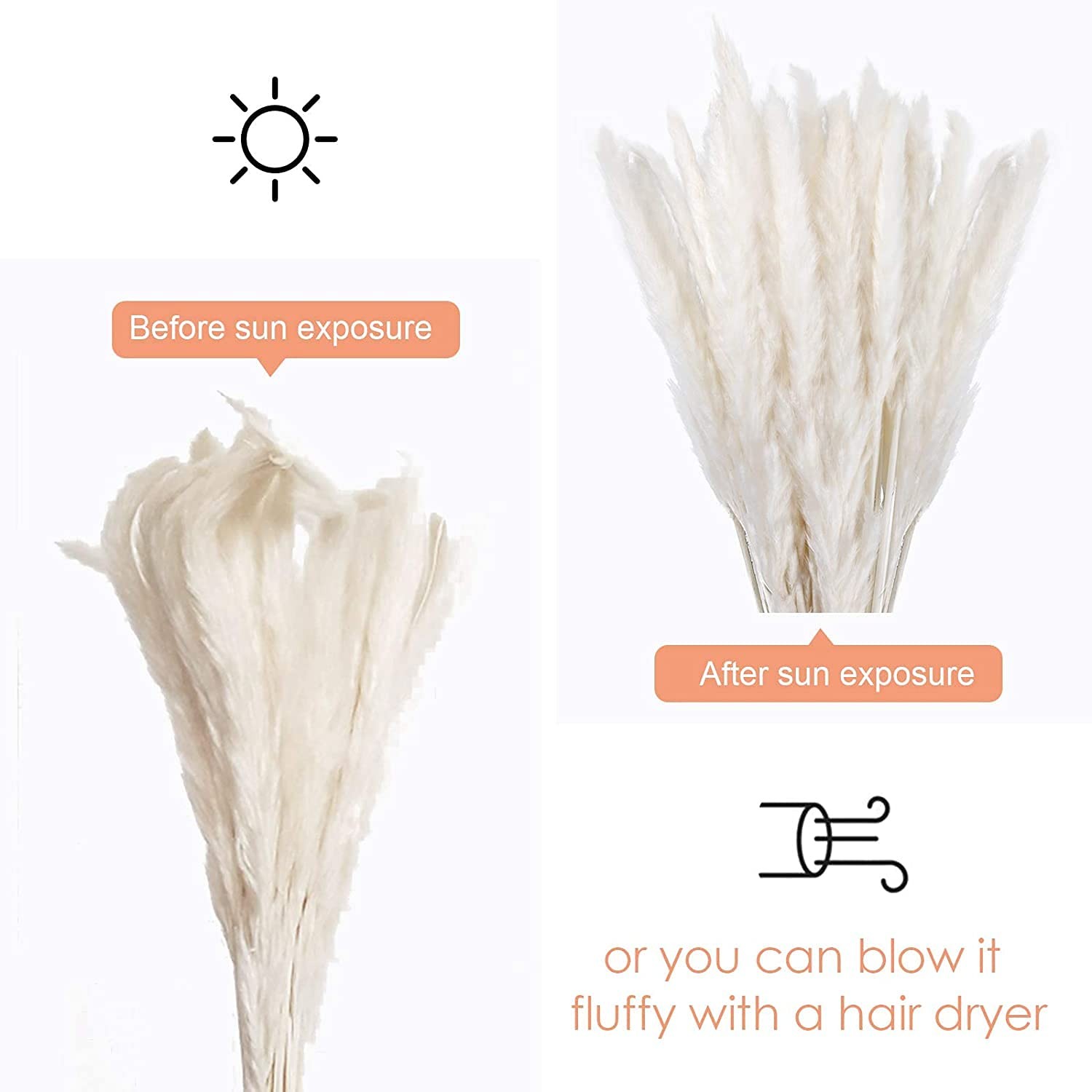 30 Pcs White Pampas Grass ,17 inch/45 cm Natural Dried Pampas Grass Branches Dec