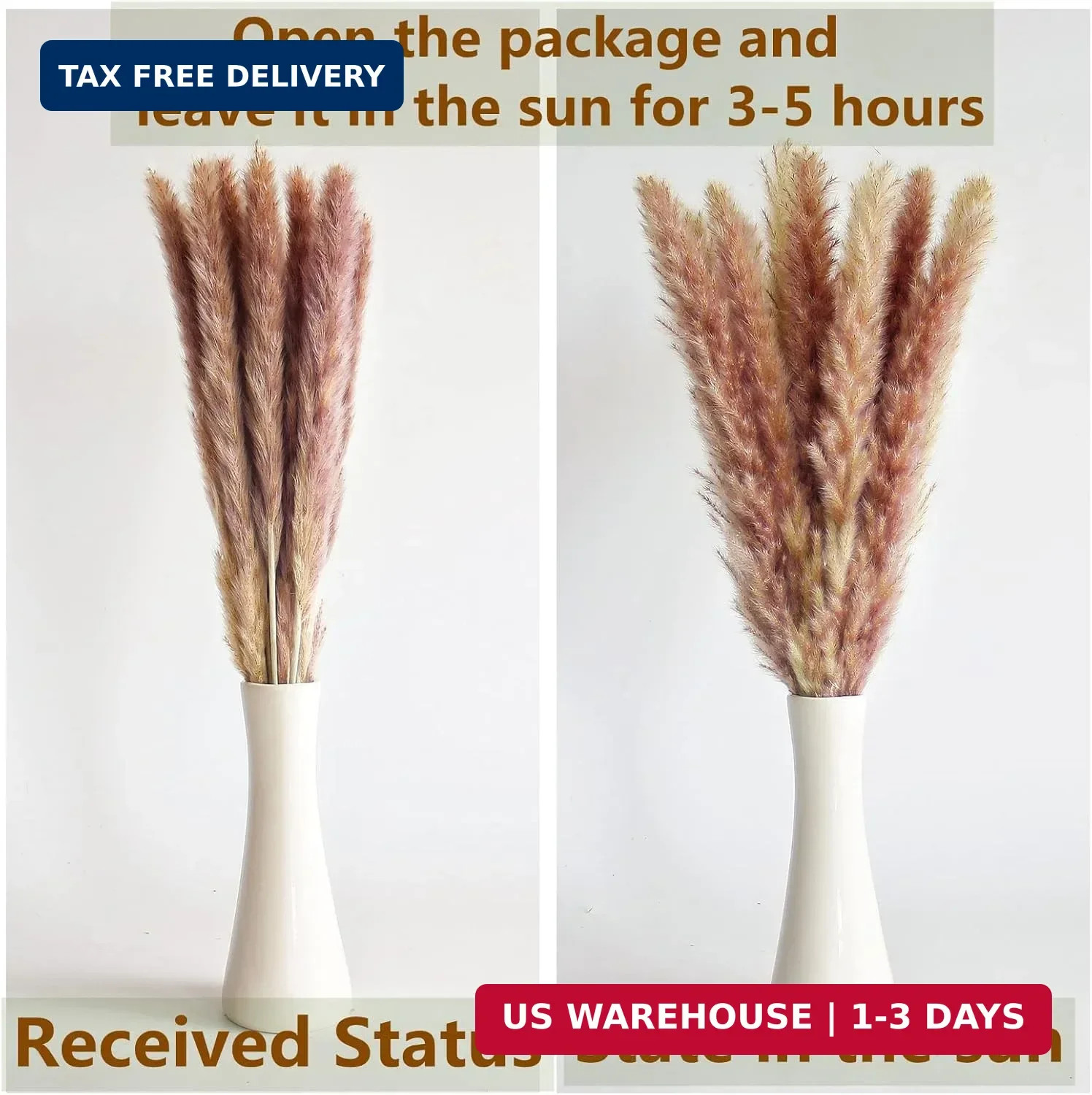 110 PCS of Boho Pampas Grass Decor, Naturally Dried Pompas, Bunny Tails Dried Fl