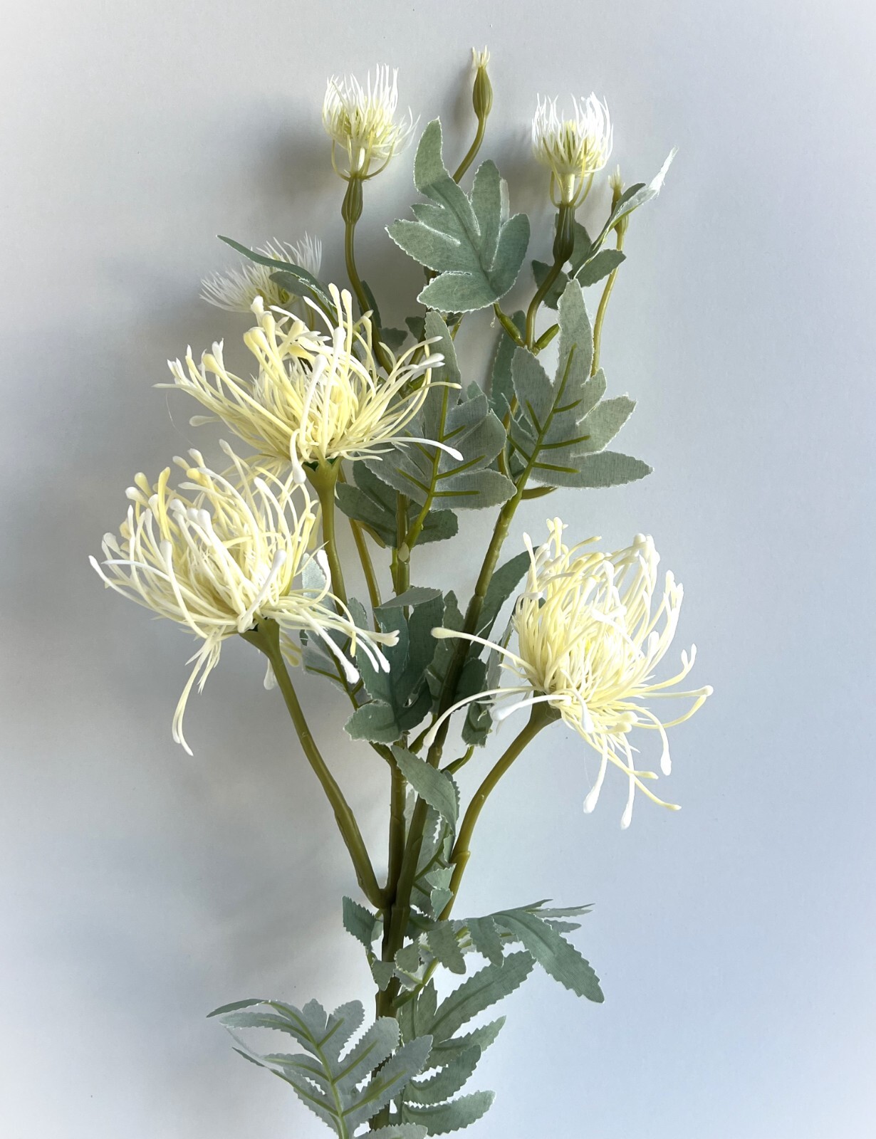Australian Native Flowers Leucospermum Flower Stem Cream White Faux Silk Plastic