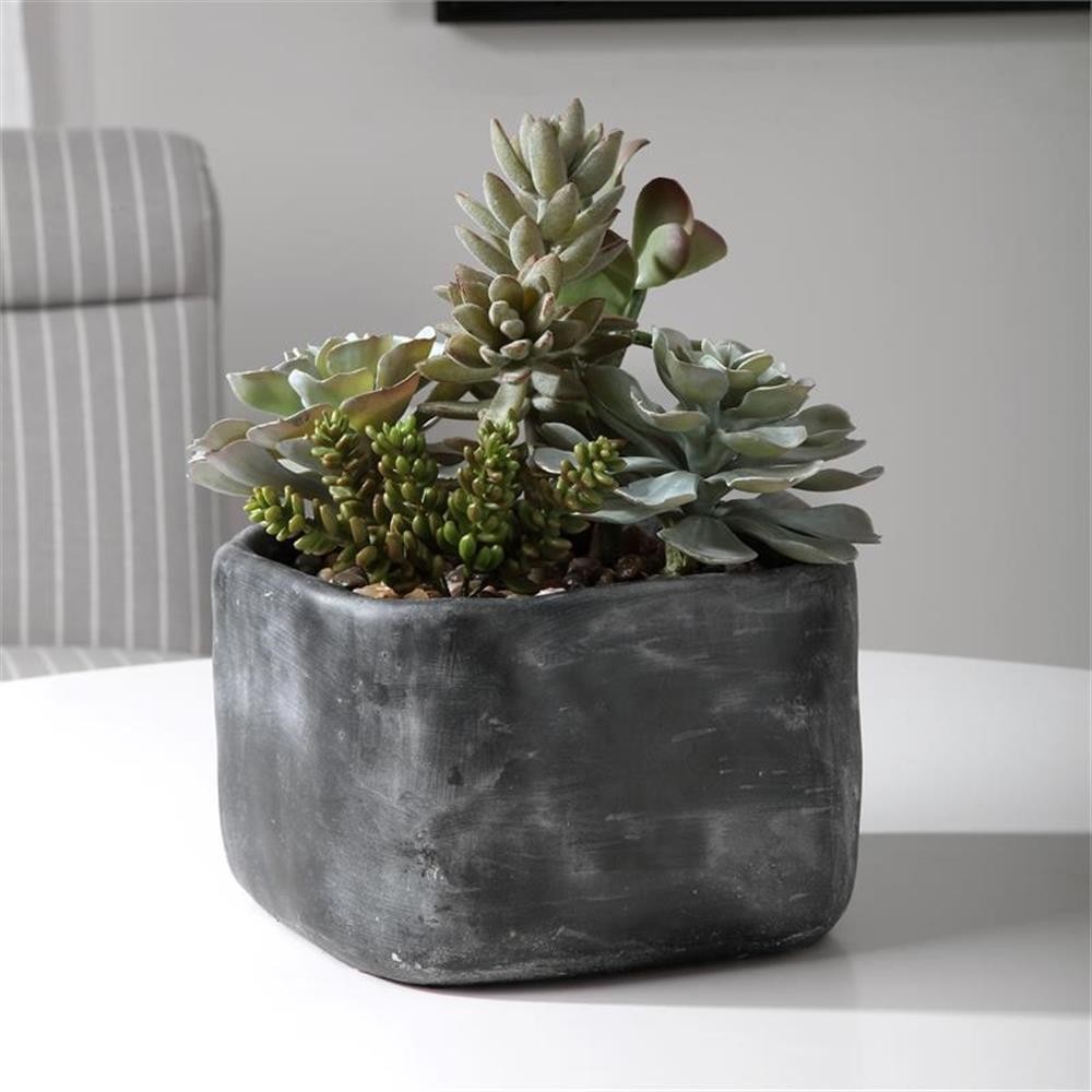 Maklaine Contemporary Plastic Iron Cement Succulents in Black/Green