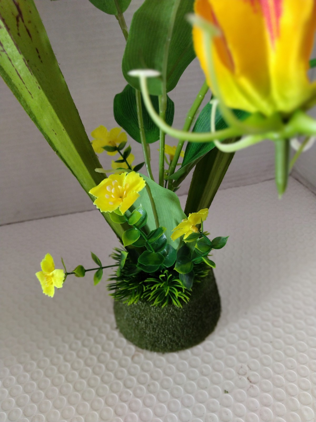 Pitcher plant table Decoration