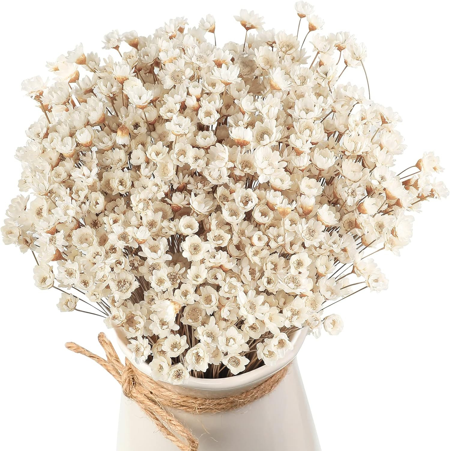 500 Pcs Natural Dry Flowers Mini Chamomile Small Star Daisy Dried Flowers Decora